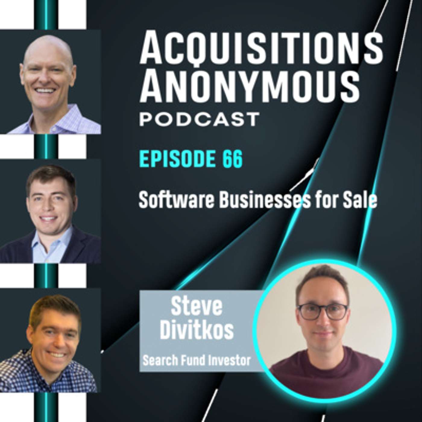 cover of episode Analyzing Software Businesses for Sale with Steve Divitkos, experienced industry CEO - e66