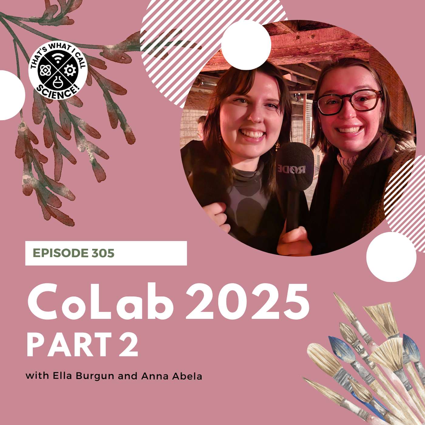Episode 305: CoLab 2025 - Part 2