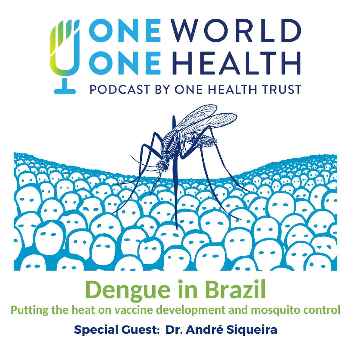 Dengue in Brazil – Putting the heat on vaccine development and mosquito control