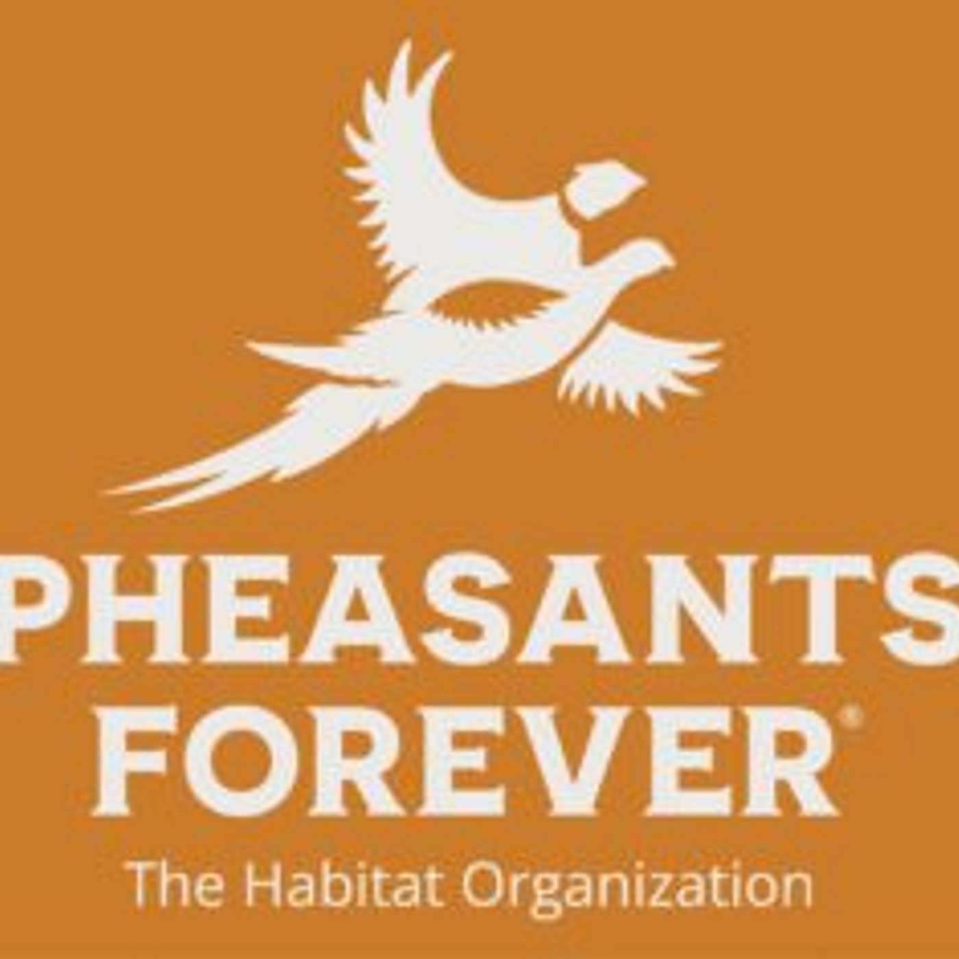 LOCAL: Pheasants Forever banquet set for March 31 episode artwork