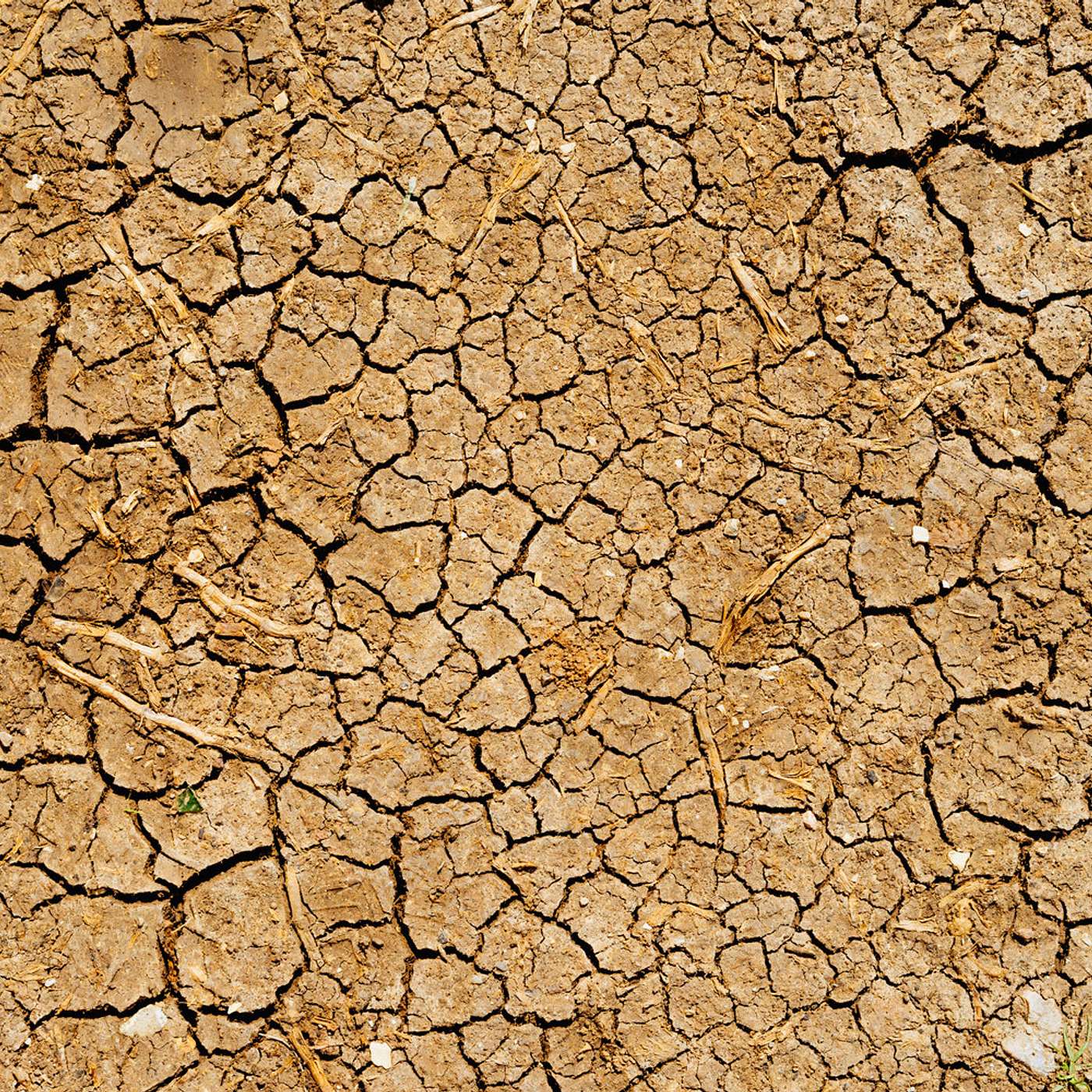 Being Crisis Prepared