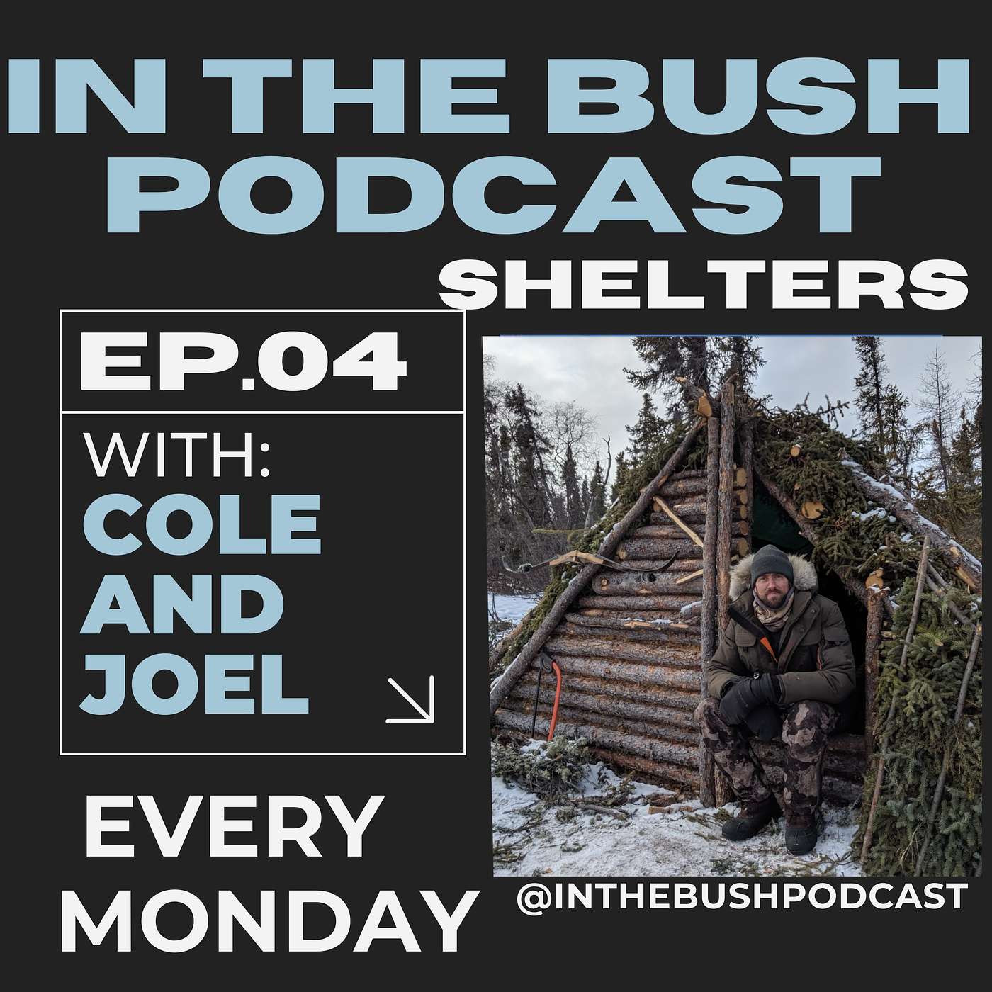 IN THE BUSH Podcast