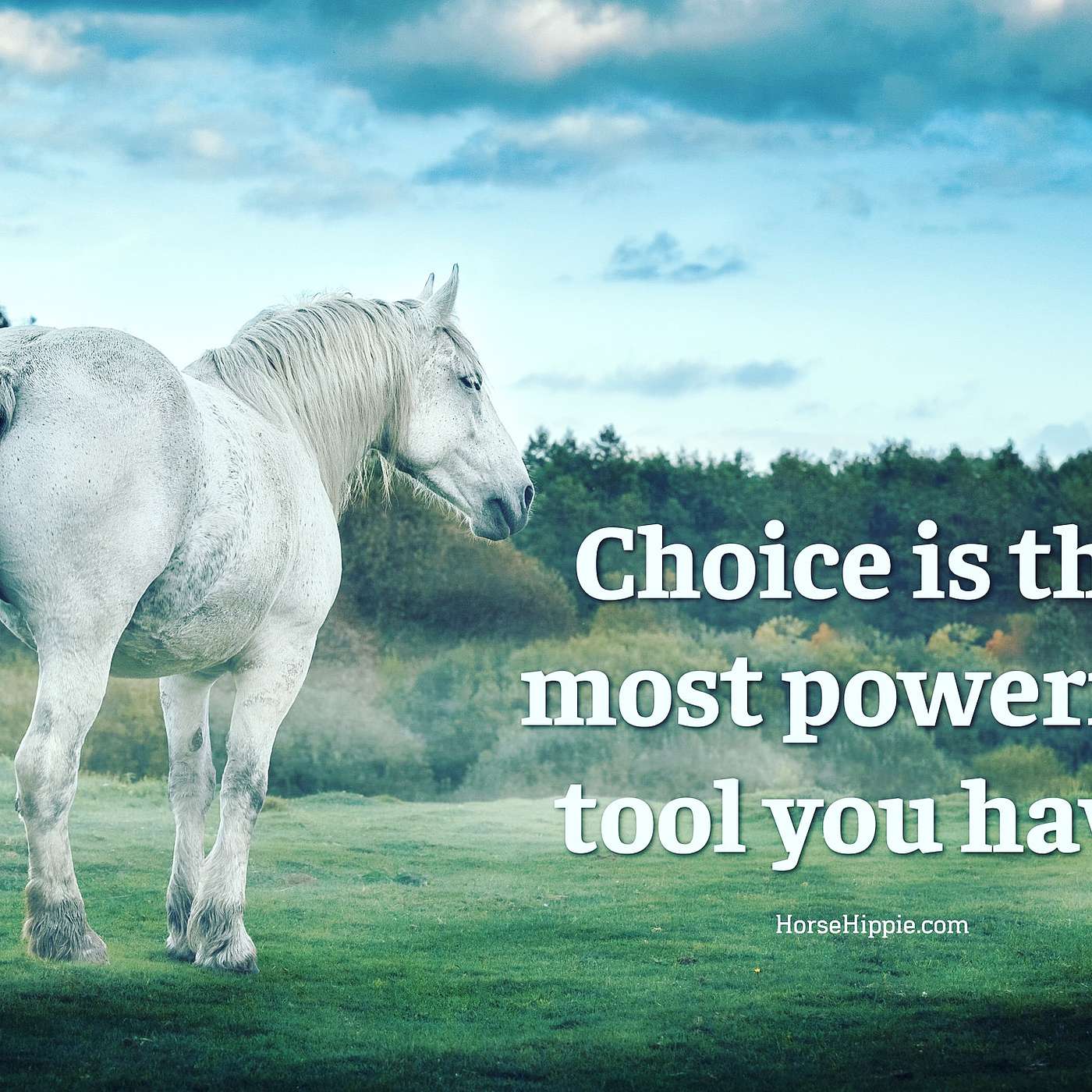 The Best Tool in Your Toolbox