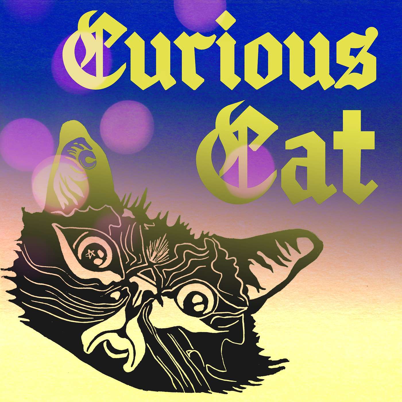 Curious Cat