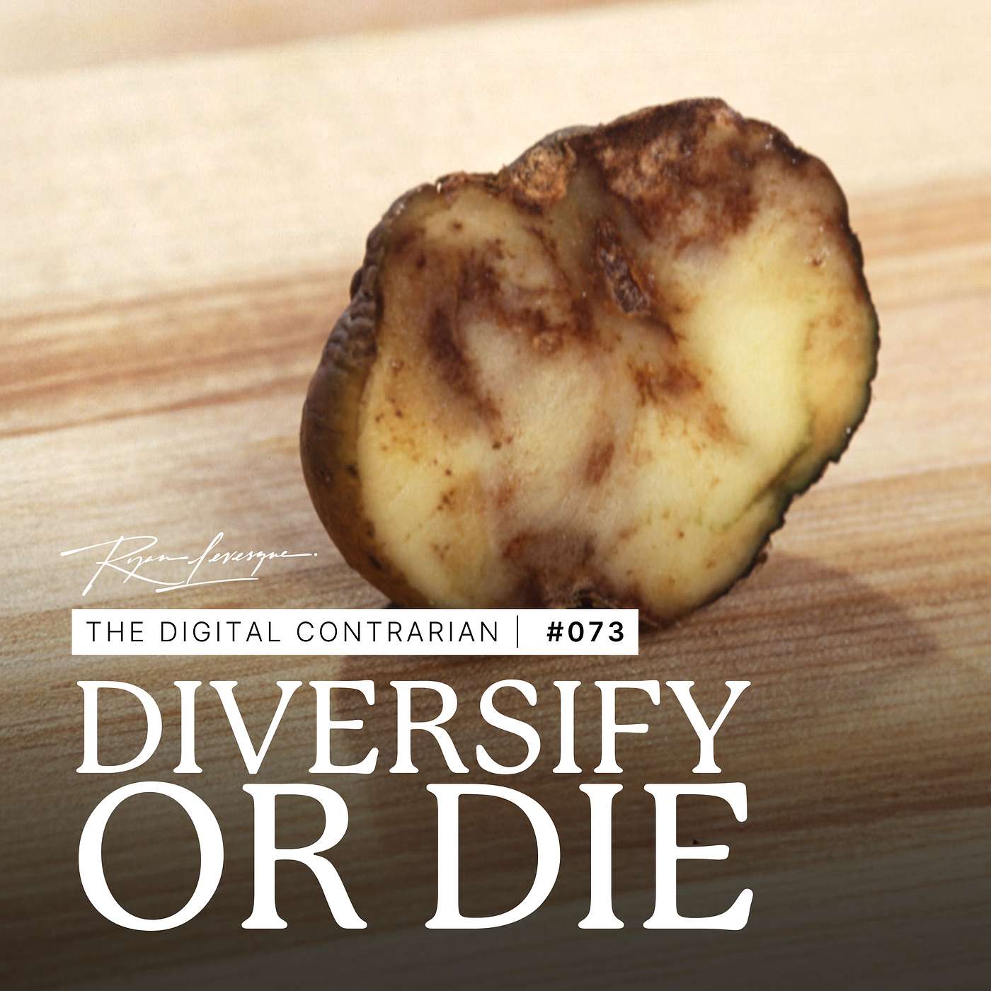 TDC 073: The Efficiency vs. Resiliency Dilemma: Why Your "Optimized" Business Might Be Dangerously Fragile TDC 073: The Efficiency vs. Resiliency Dilemma: Why Your "Optimized" Business Might Be Dangerously Fragile