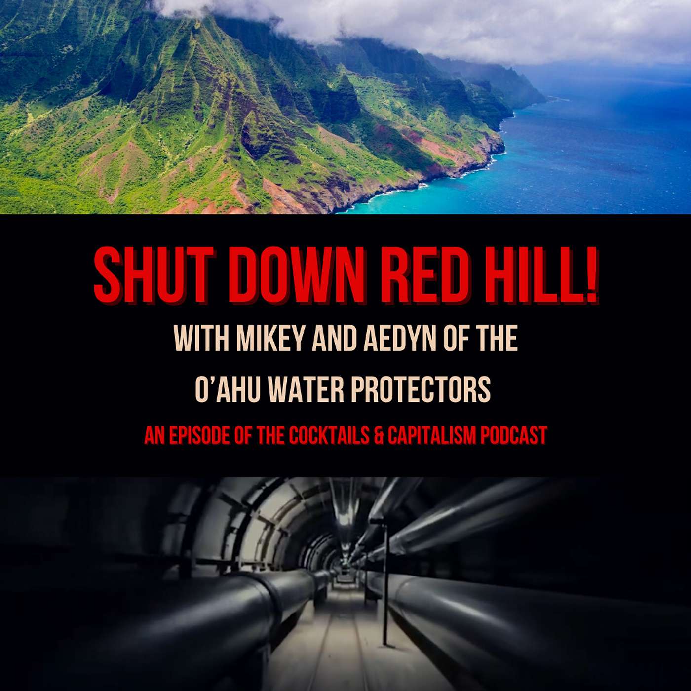 SHUT DOWN RED HILL! with Mikey and Aedyn of the O’ahu Water Protectors (& the Cloud Forest Cocktail) episode artwork