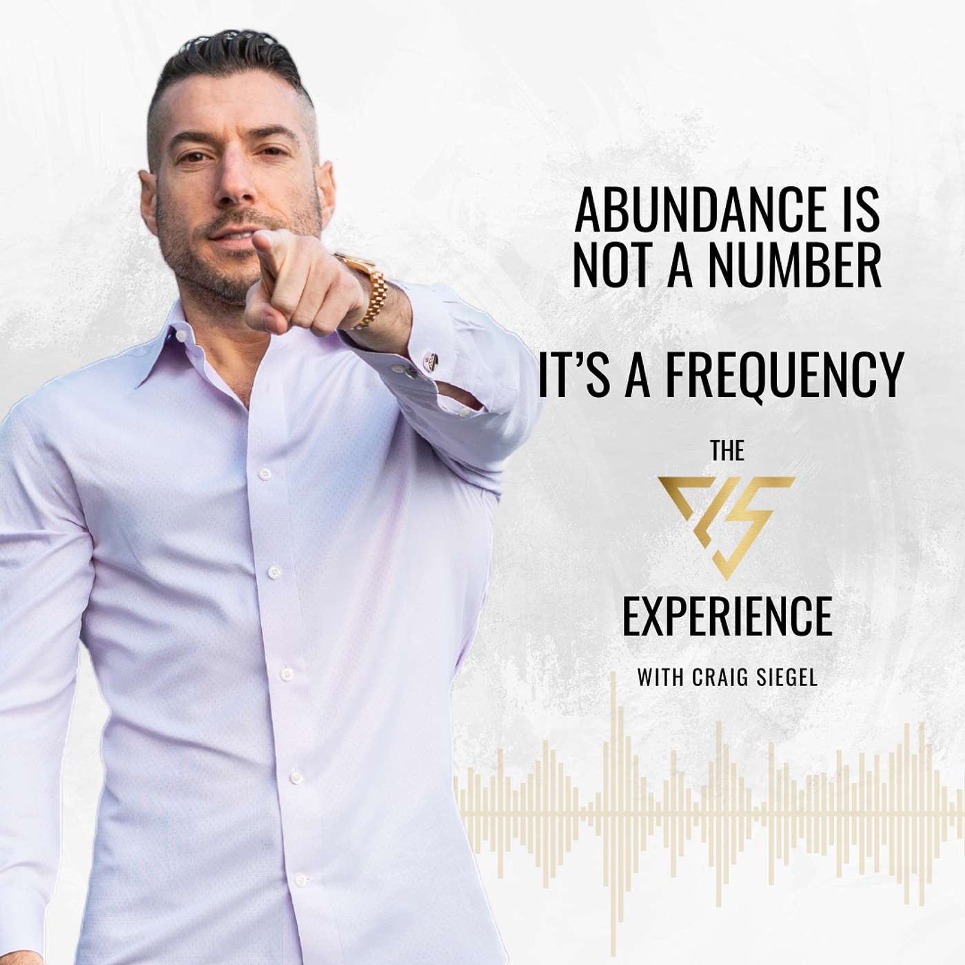 Abundance Is Not a Number With Craig Siegel