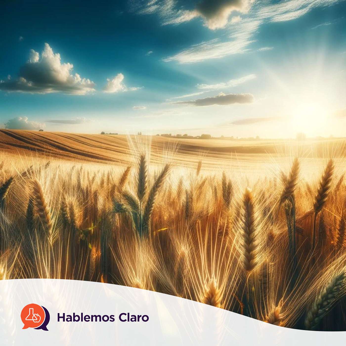 Actualidad de la industria alimentaria en el procesamiento de los productos del trigo