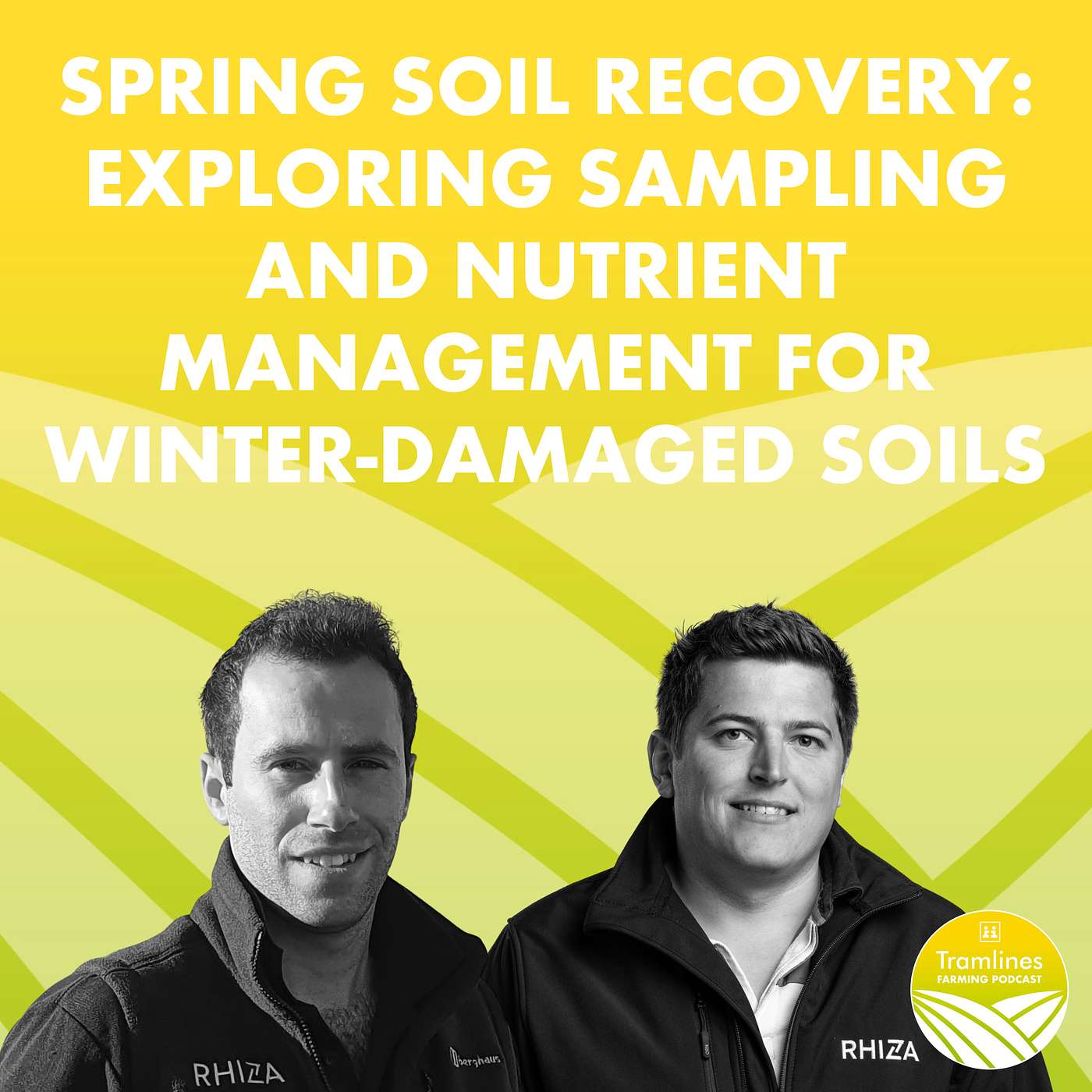 Spring Soil Recovery: Exploring Sampling and Nutrient Management for Winter-Damaged Soils