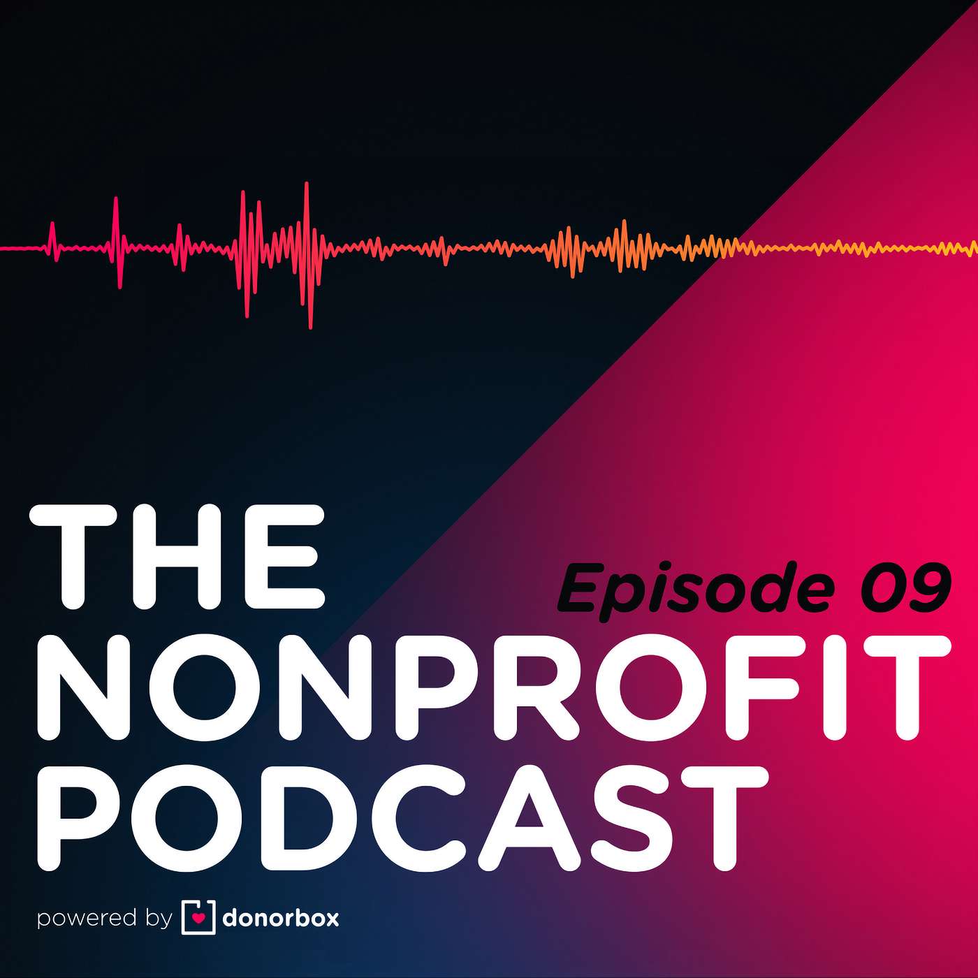 The Nonprofit Podcast