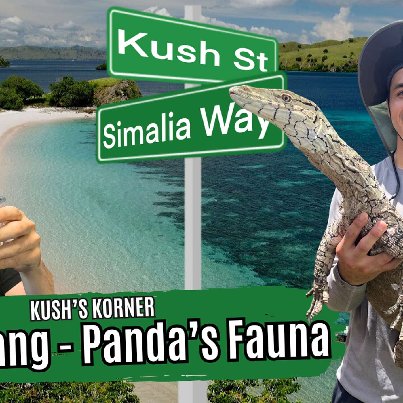 Having Success With A Diverse Reptile Collection | Kush's Korner Live