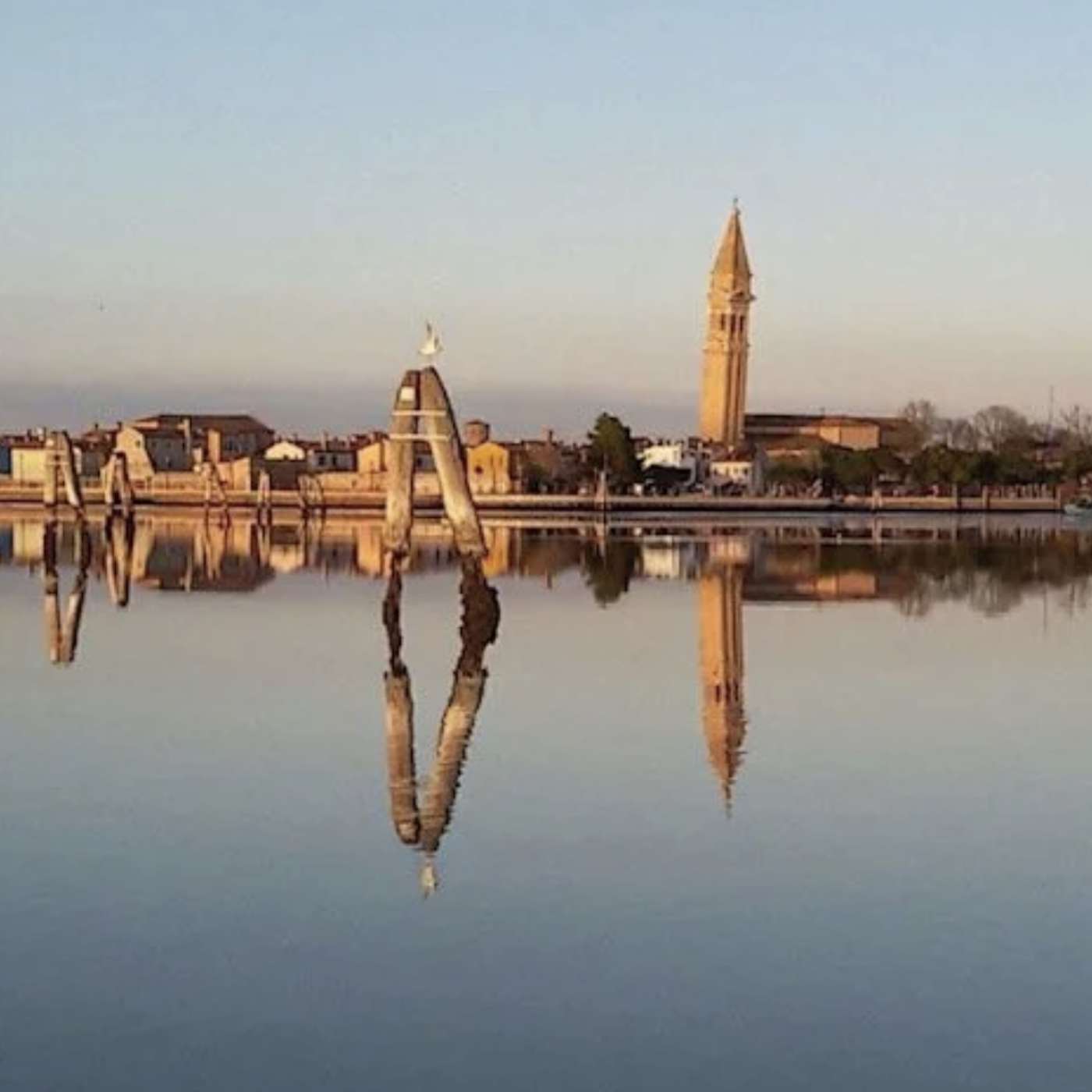 Allison Zurfluh:  Art and Conservation in the Venetian Lagoon episode artwork