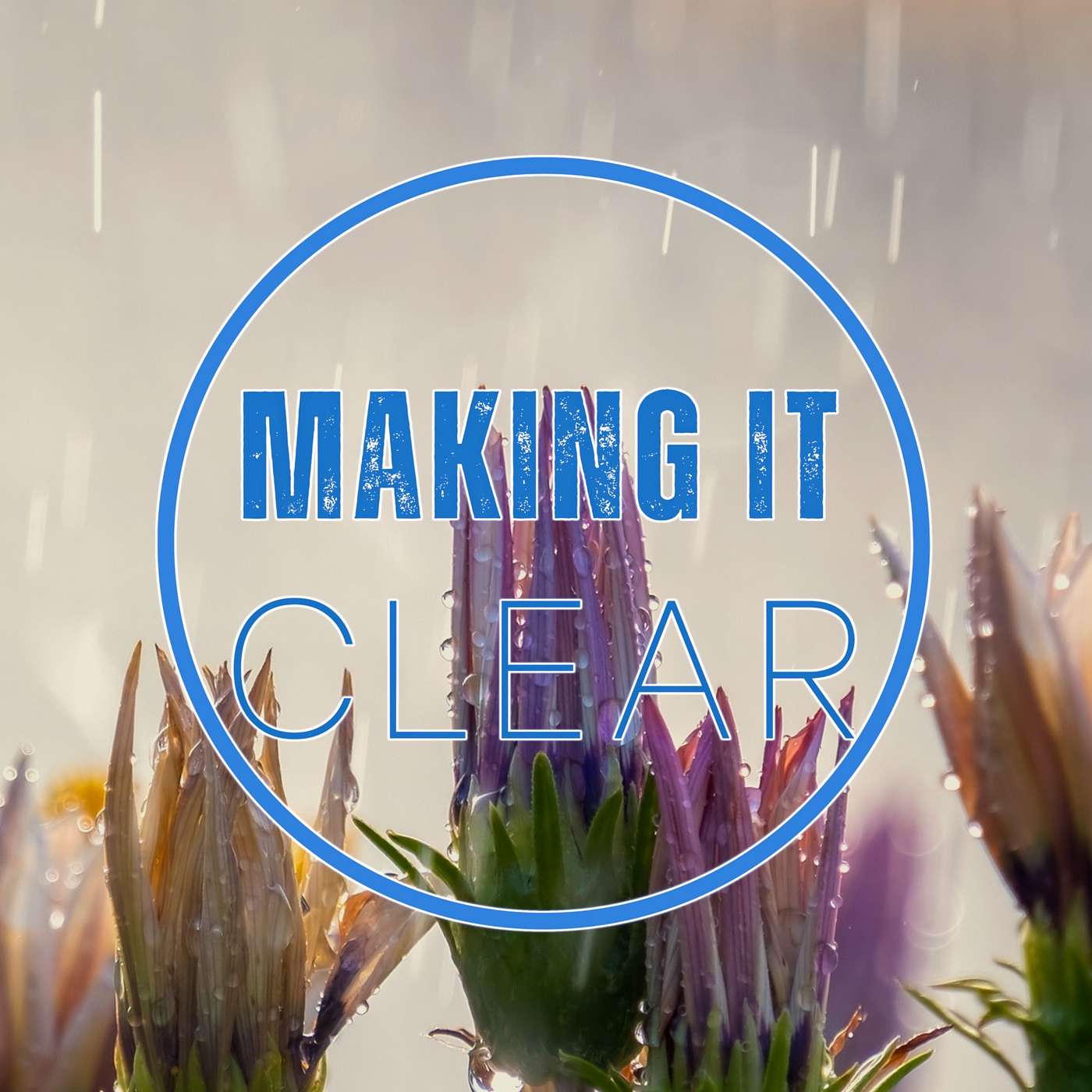 Refreshing Rain