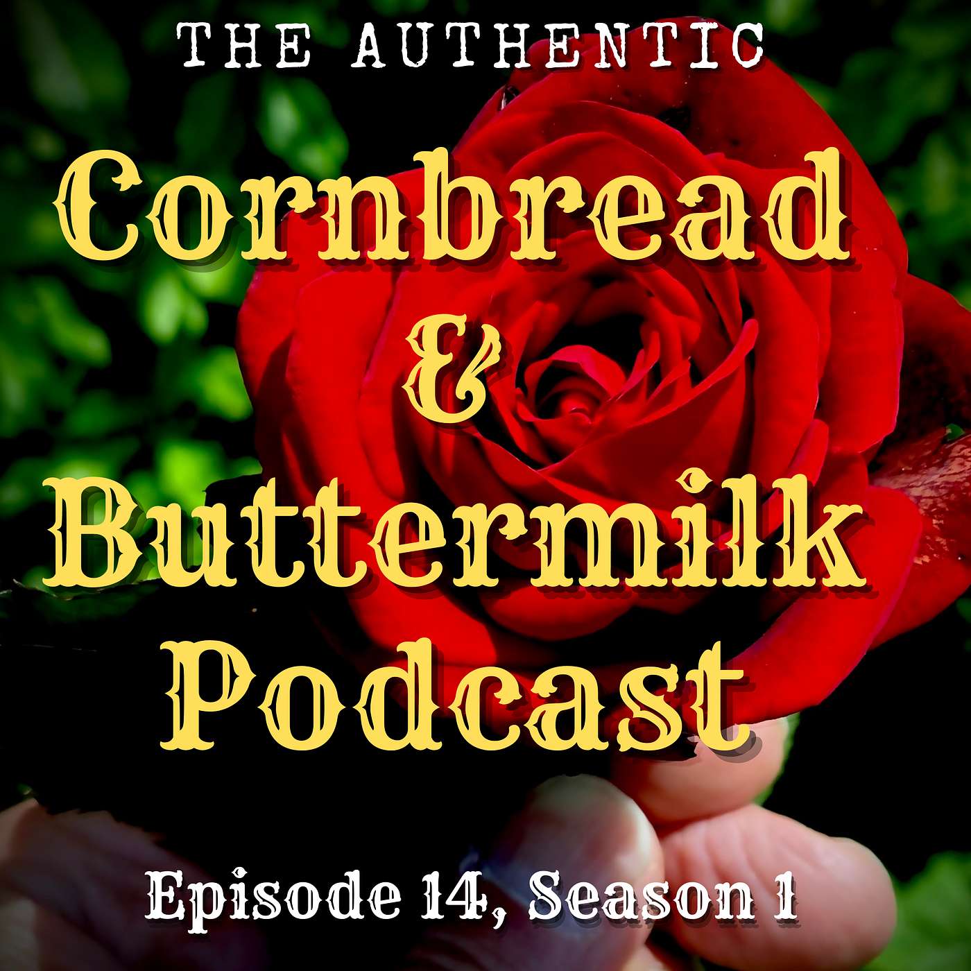 Hidden Culinary Gems of the South