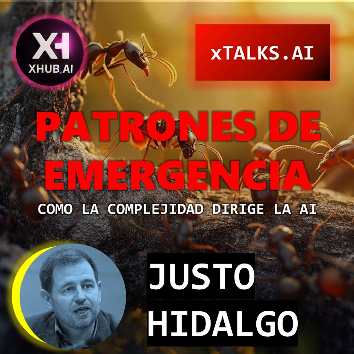 T5.E198. xTALKS.AI PATRONES DE EMERGENCIA  Cómo la complejidad dirige la Inteligencia Artificial