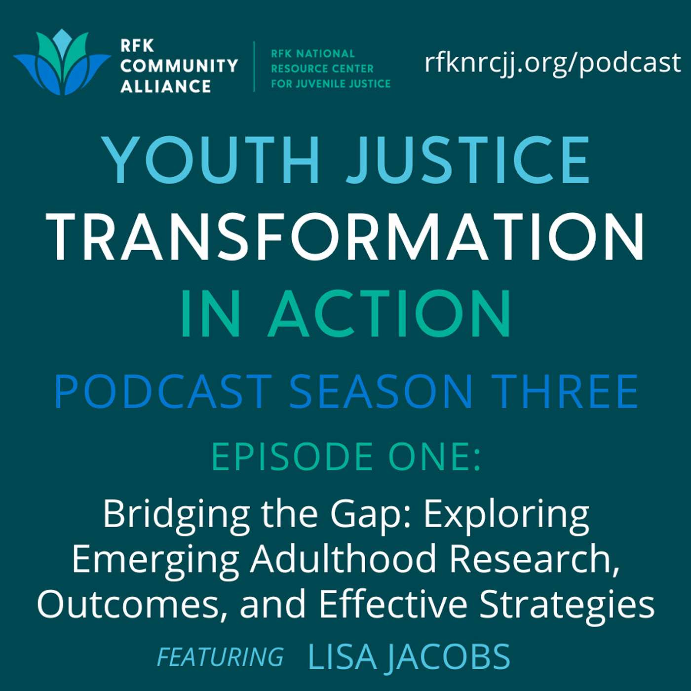 Youth Justice Transformation in Action