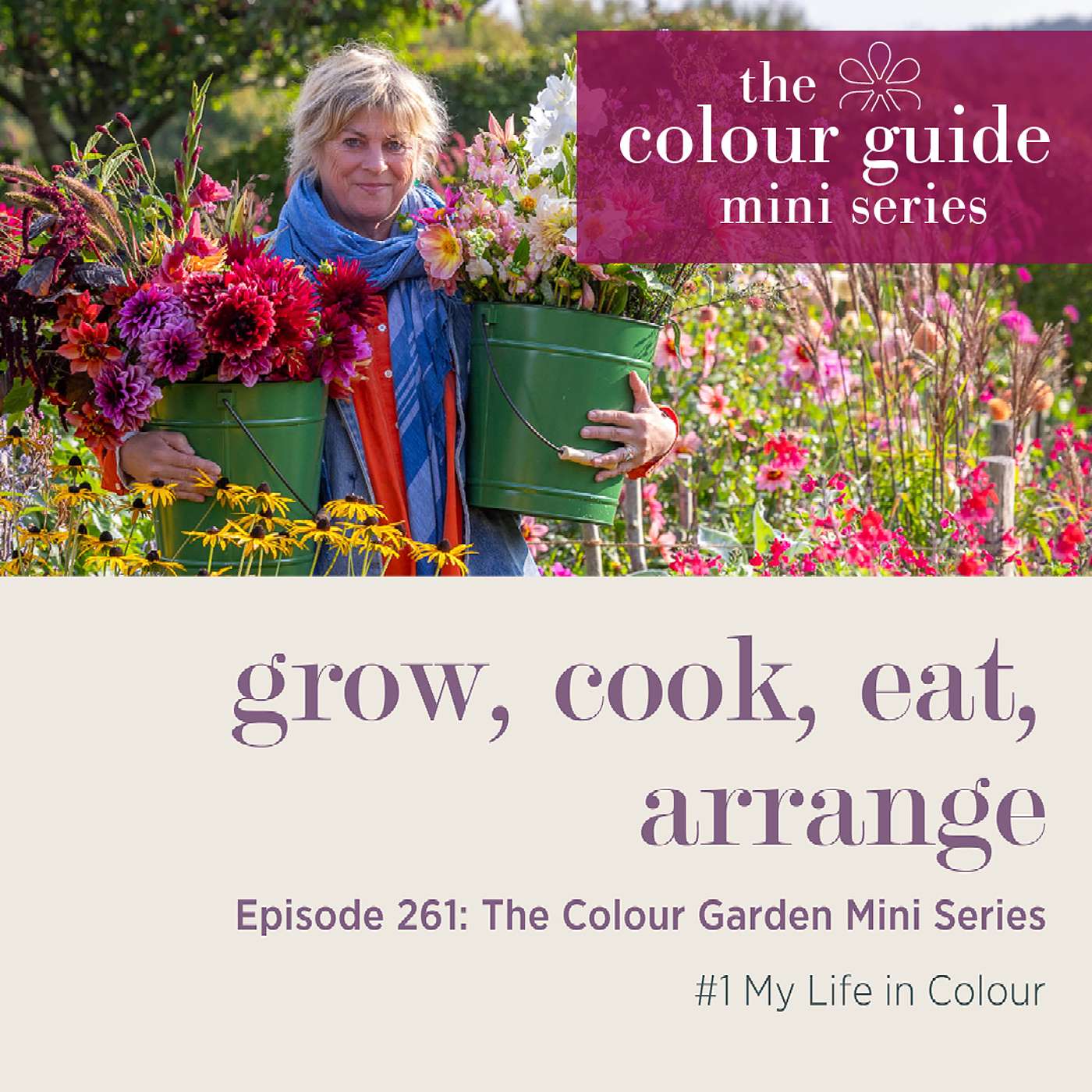 The Colour Guide Mini Series #1: My life in colour  - Episode 261