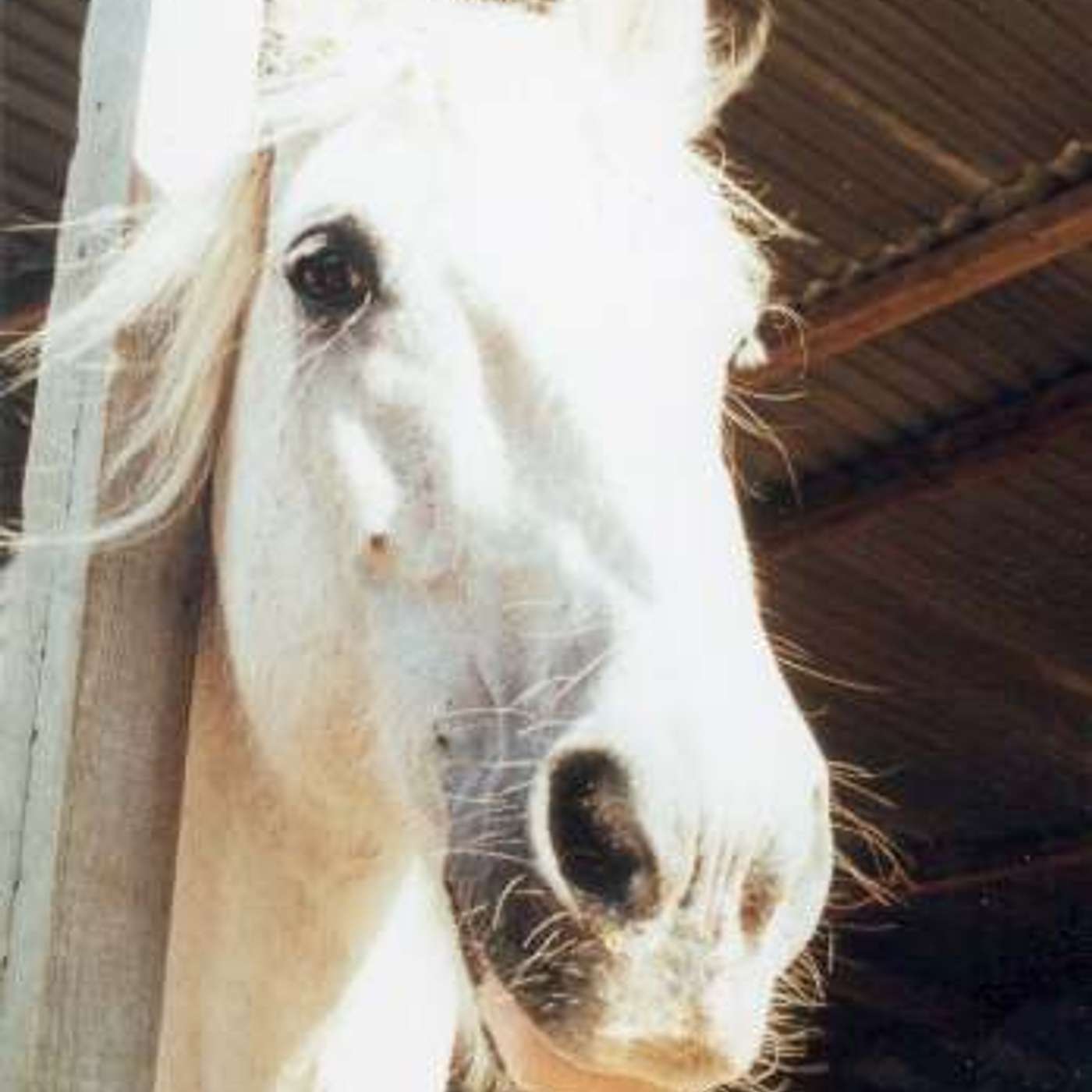 Keith Sanders the Storyman  Podcast