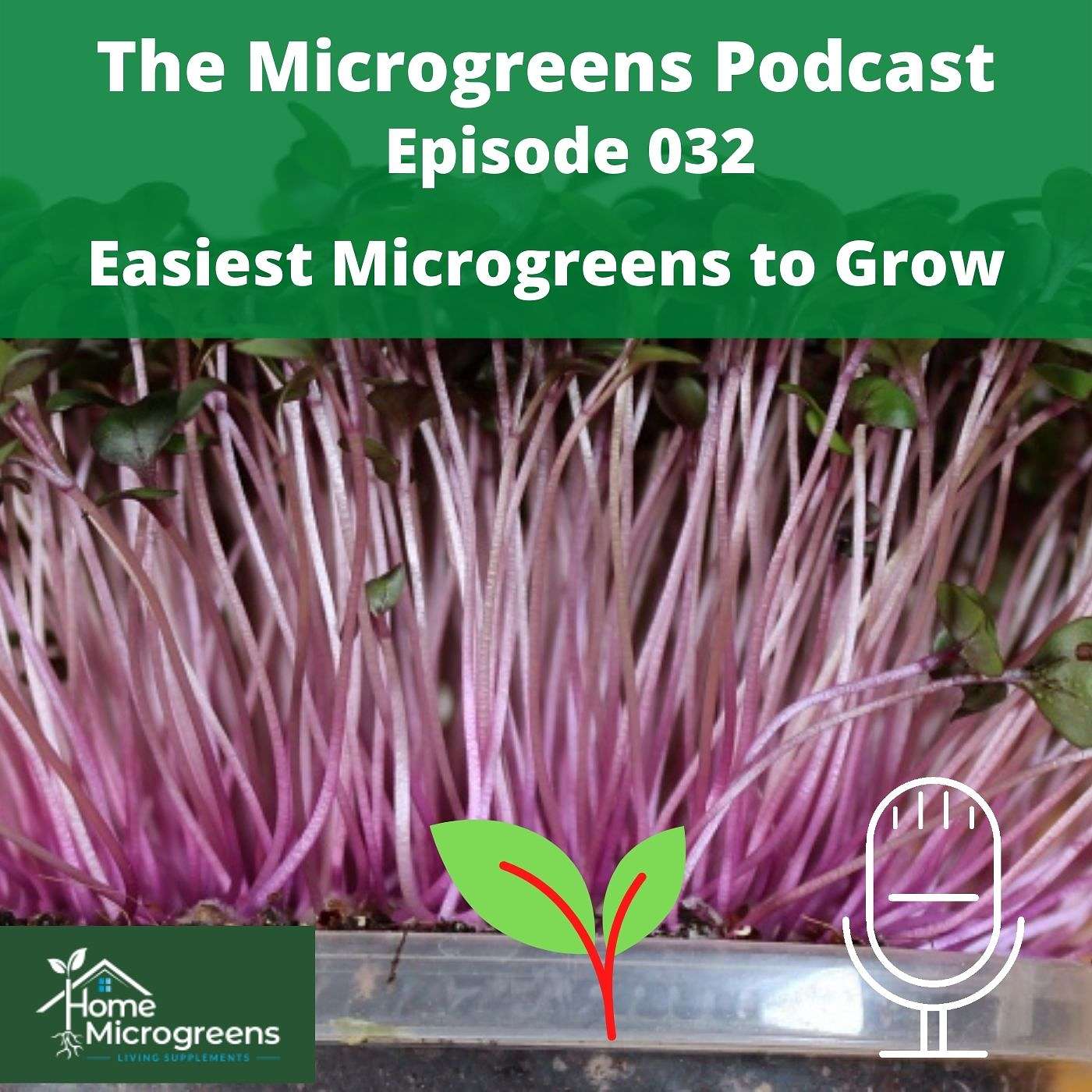 Easiest Microgreens to Grow Easiest Microgreens to Grow