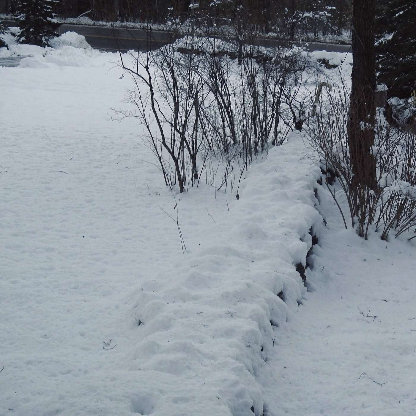 WINTER HAS ARRIVED