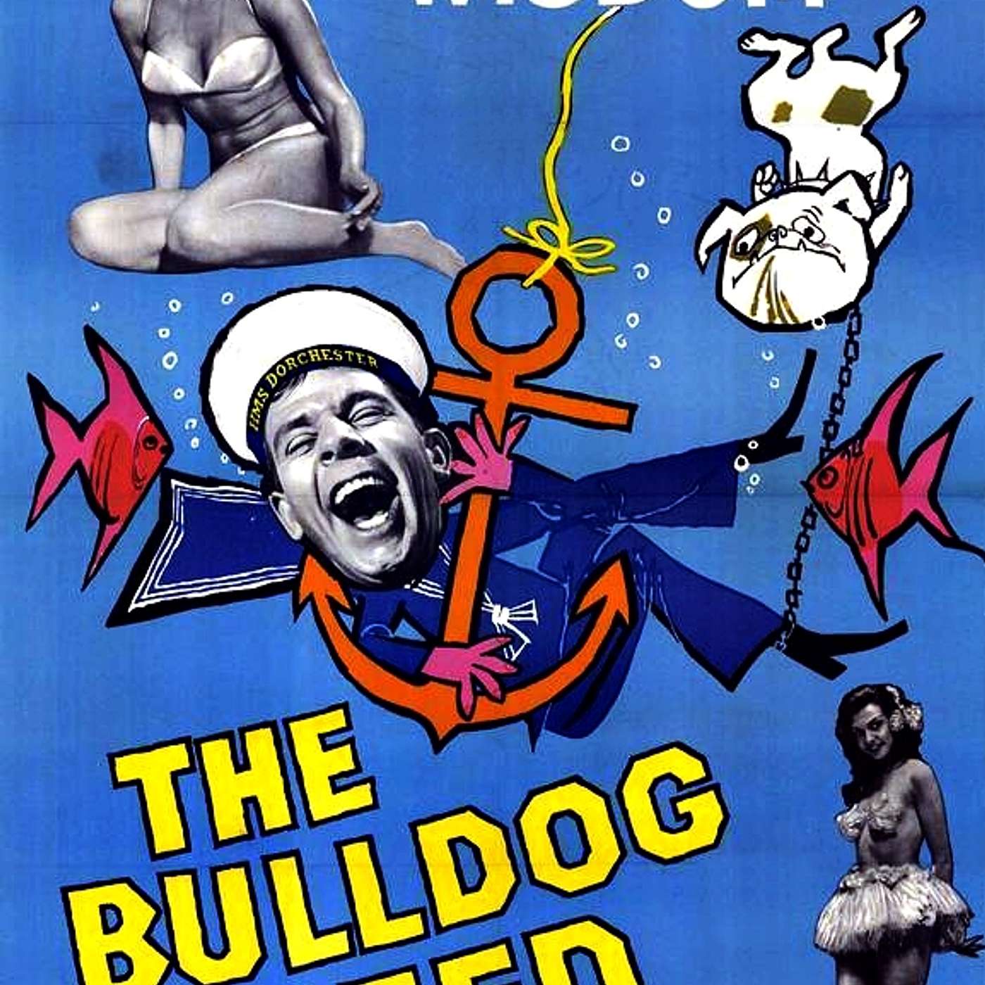 Midweek Mention... The Bulldog Breed