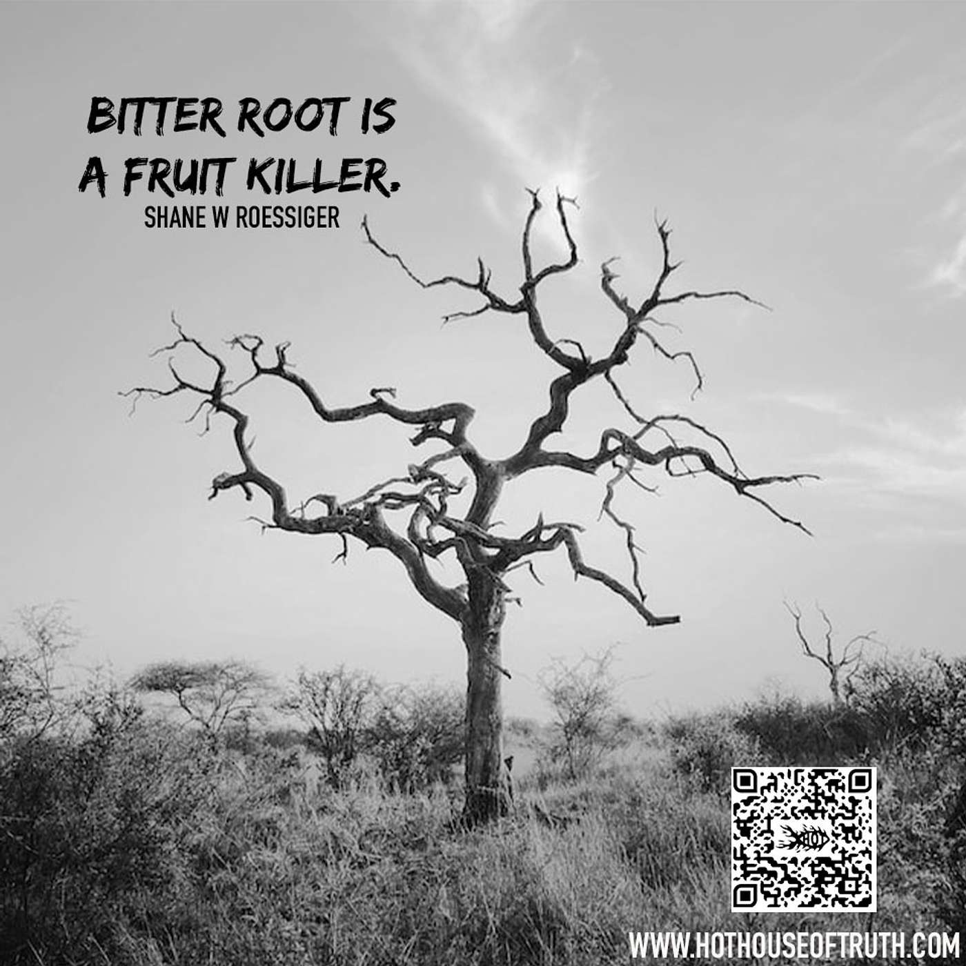 Bitter Roots | Raízes Amargas By Shane W Roessiger - English & Portuguese