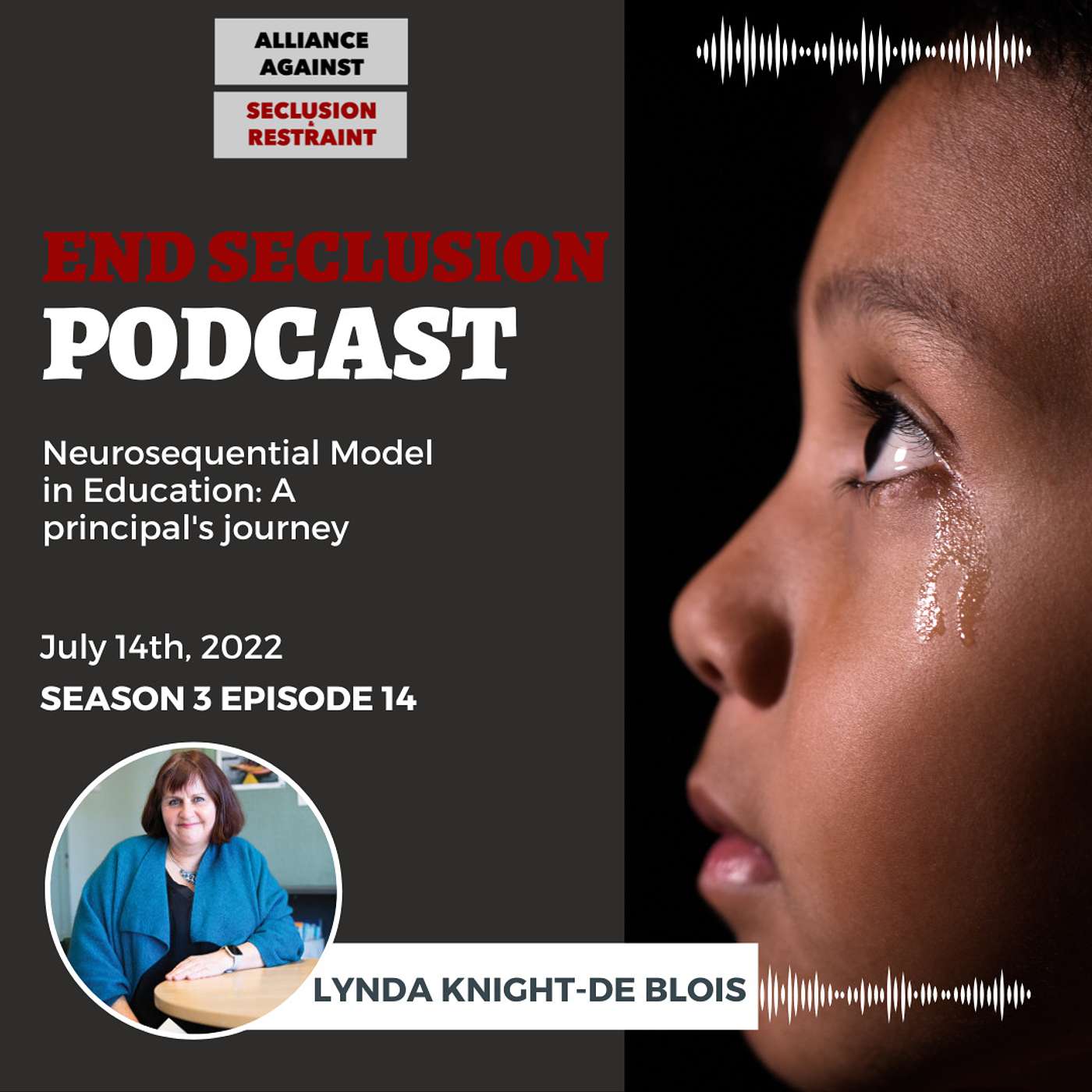 Neurosequential Model in Education: A principal's journey