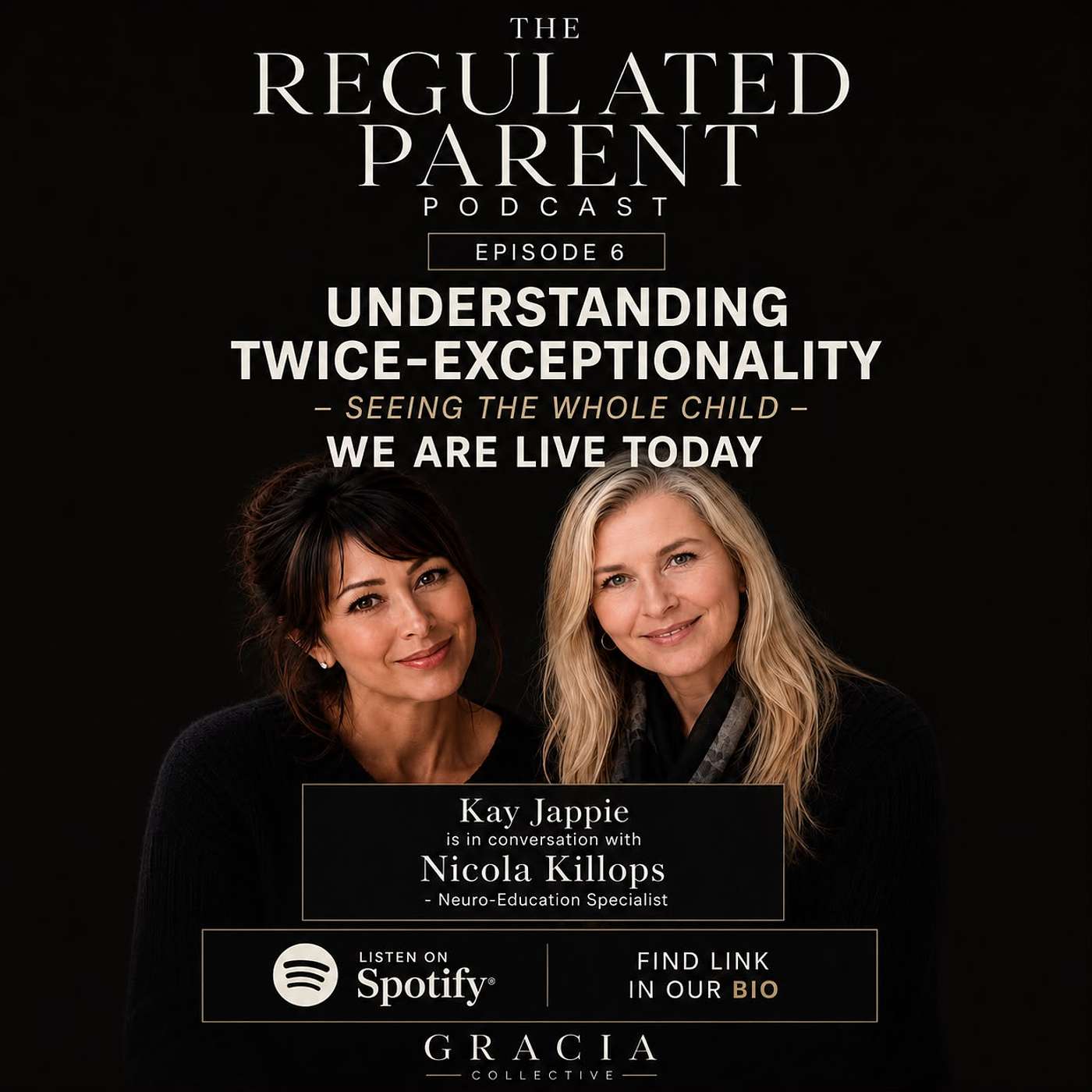 Understanding Twice-Exceptionality : Seeing the Whole Child episode artwork