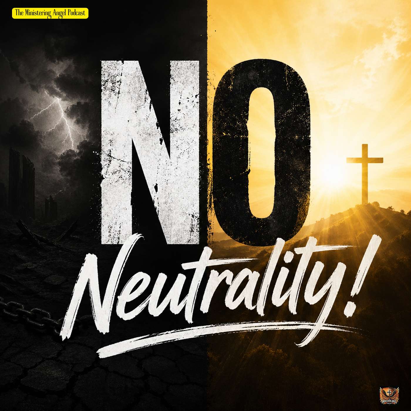 No Neutrality episode artwork