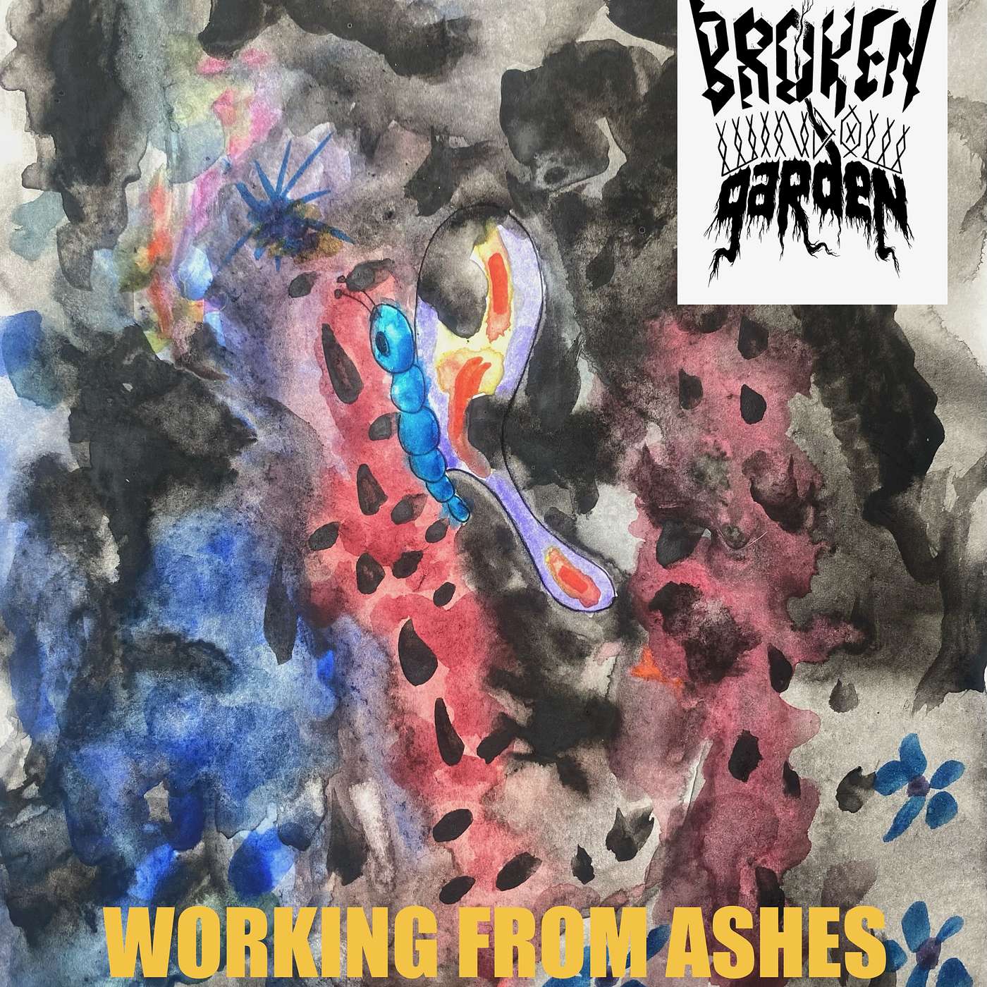 Broken Window Garden
