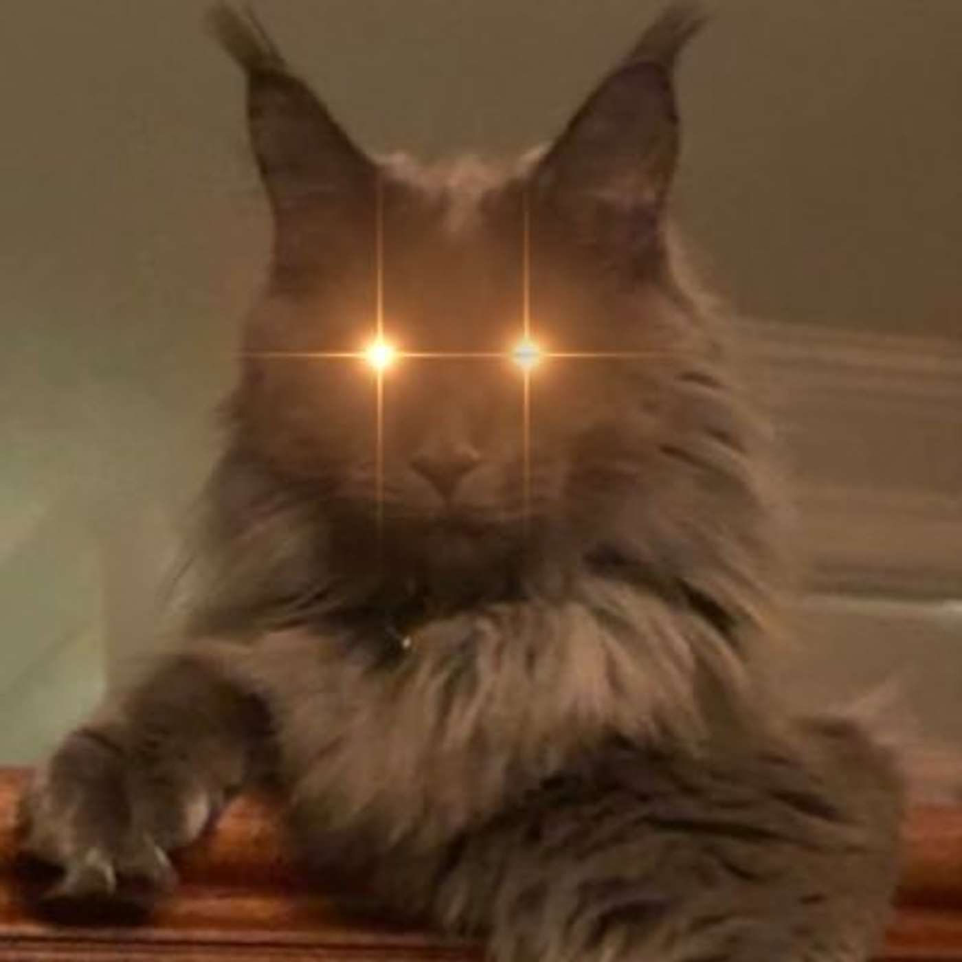 What Then Must We Do?