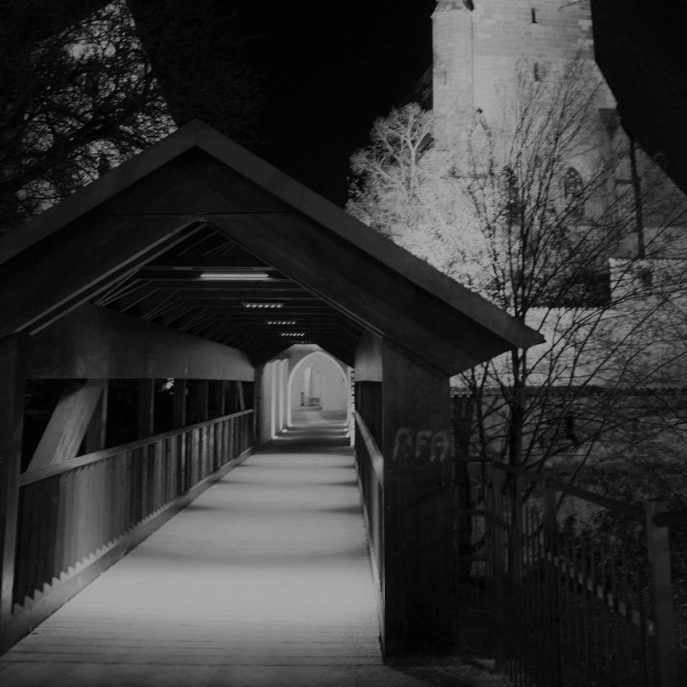 E11 – Entrevista con Jorge Carreto 2da parte E11 – Entrevista con Jorge Carreto 2da parte