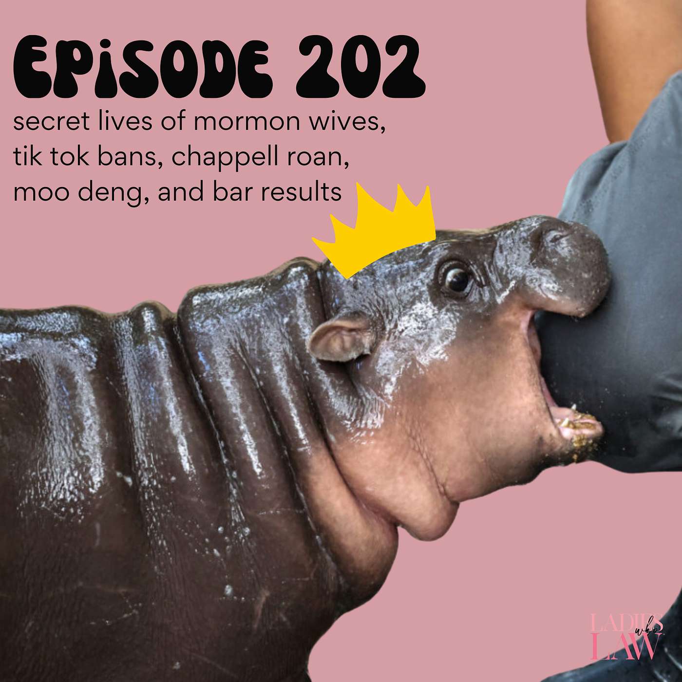 The Ladies Chat: The Secret Lives of Mormon Wives, Tik Tok Ban, Chappell Roan, Moo Deng, & Bar Results