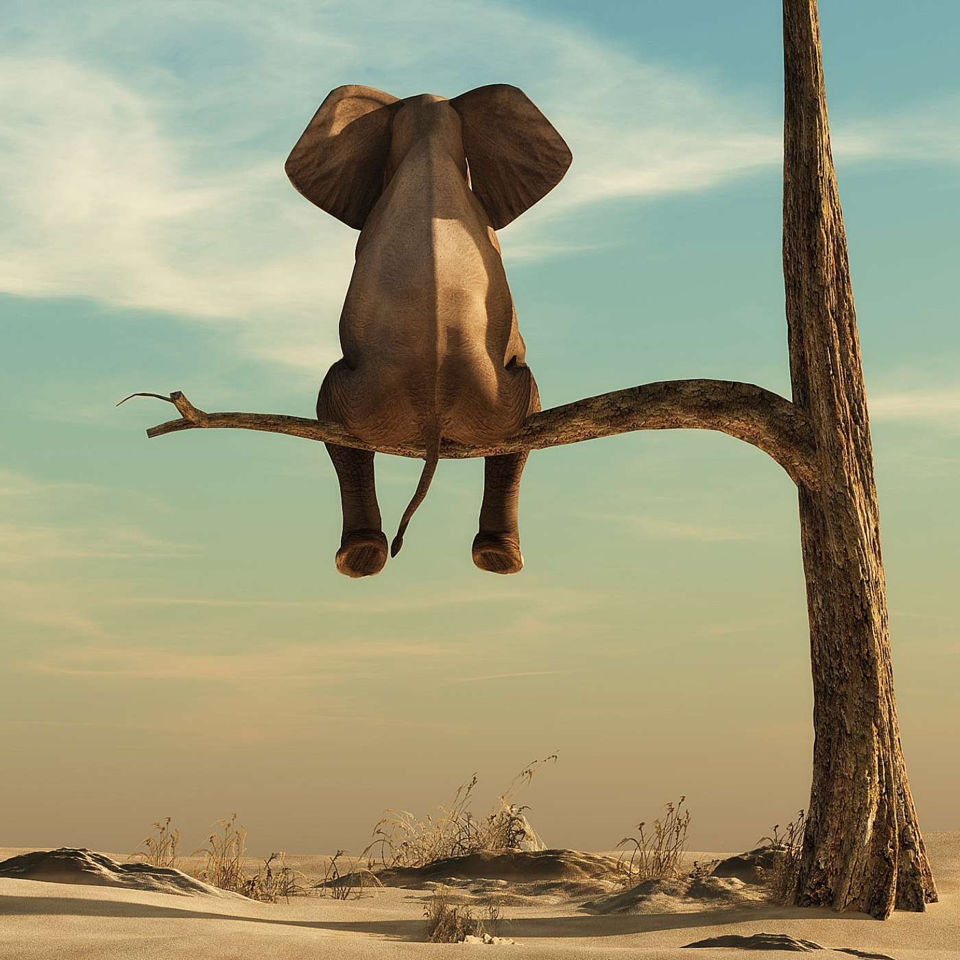 Ethical Choice : One Thing to Feel Good About