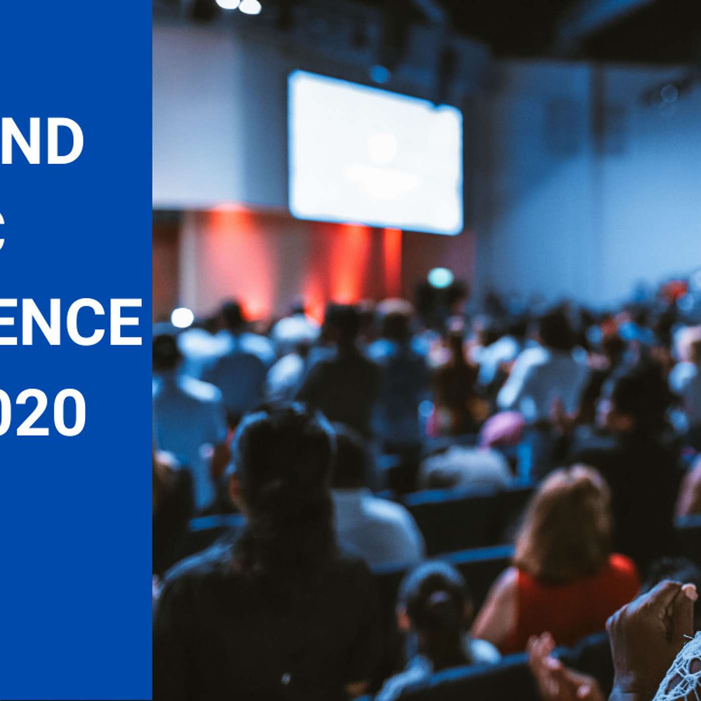 England LMC Conference Nov 2020 review