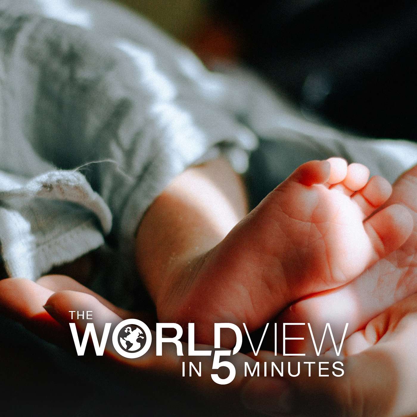 The World View in 5 Minutes - 11/5/2025