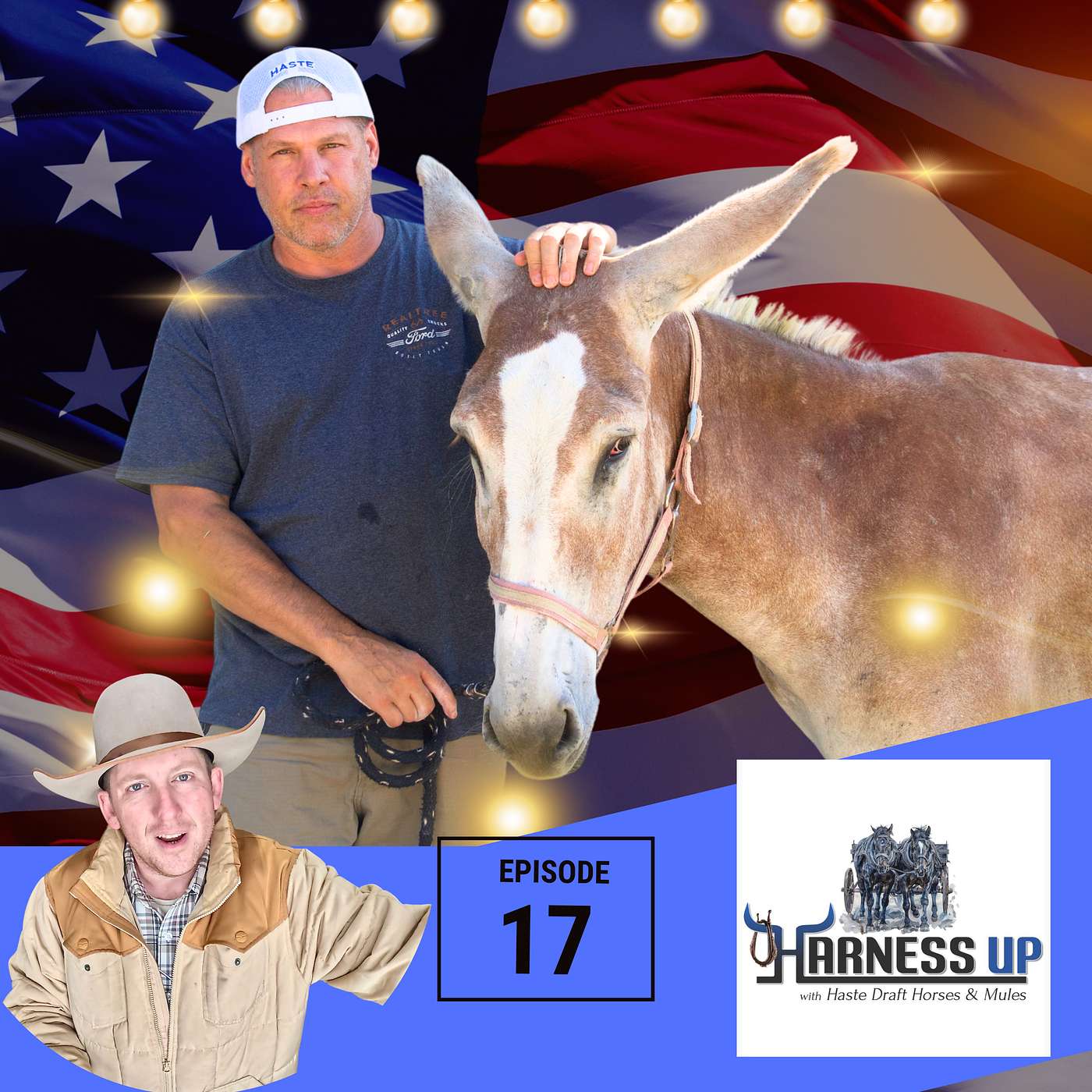 Finding Peace Through Working Animals: A Veteran's Journey to Retirement