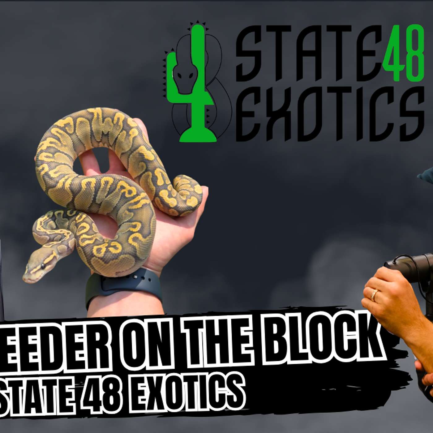 The Return Of State 48 Exotics | GHI & Lace Being Possibly Related | New Breeder On The Block
