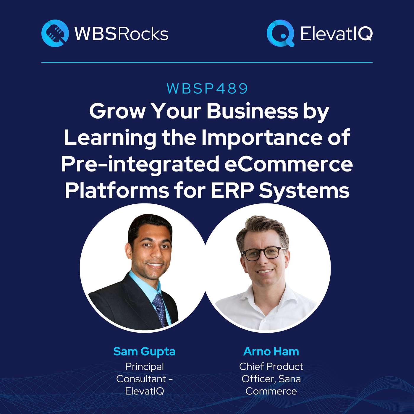 WBSP489: Grow Your Business by Learning the Importance of Pre-integrated eCommerce Platforms for ERP Systems w/ Arno Ham