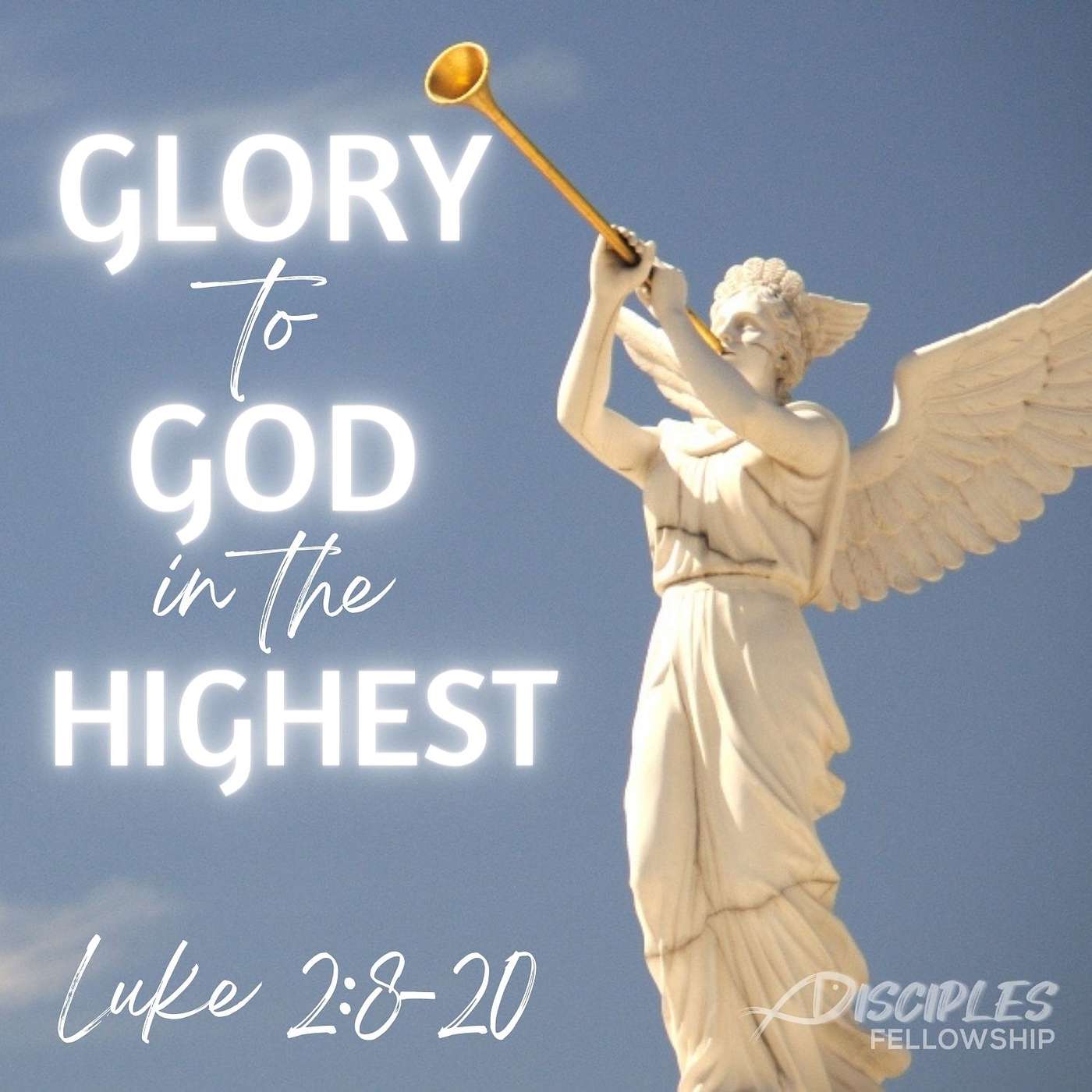 Glory to God in the Highest; Luke 2:8-20