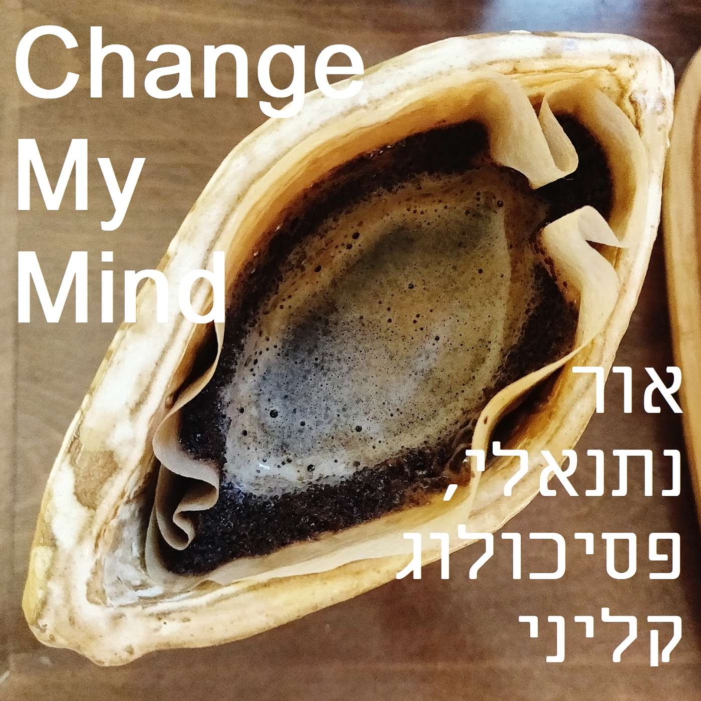 פרק #9: שיחה עם חני בירן, על האפשרות לאחות קרעים בתודעה המשותפת באמצעות הקשבה לחלומות