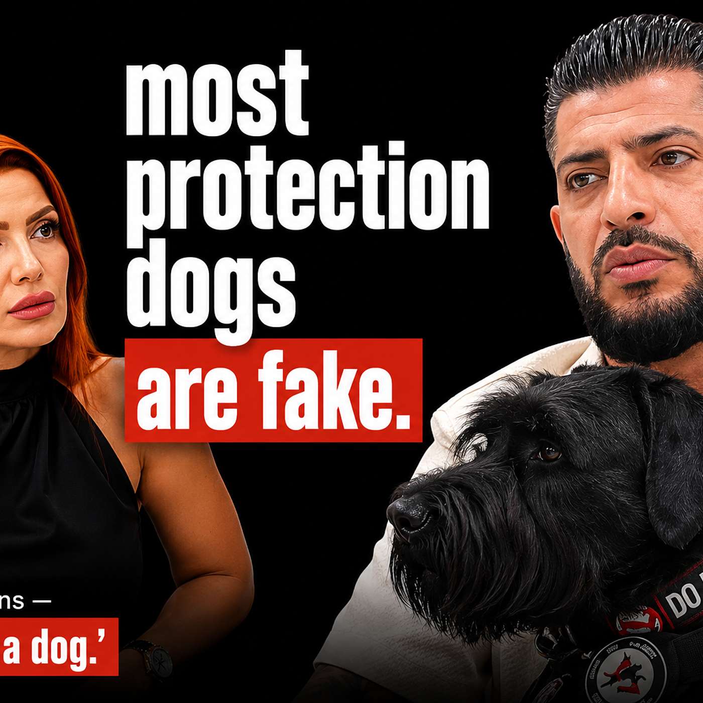 He Trains $100,000 Protection Dogs for LA's Richest Families. He Says Most Protection Dogs Are Fake. episode artwork