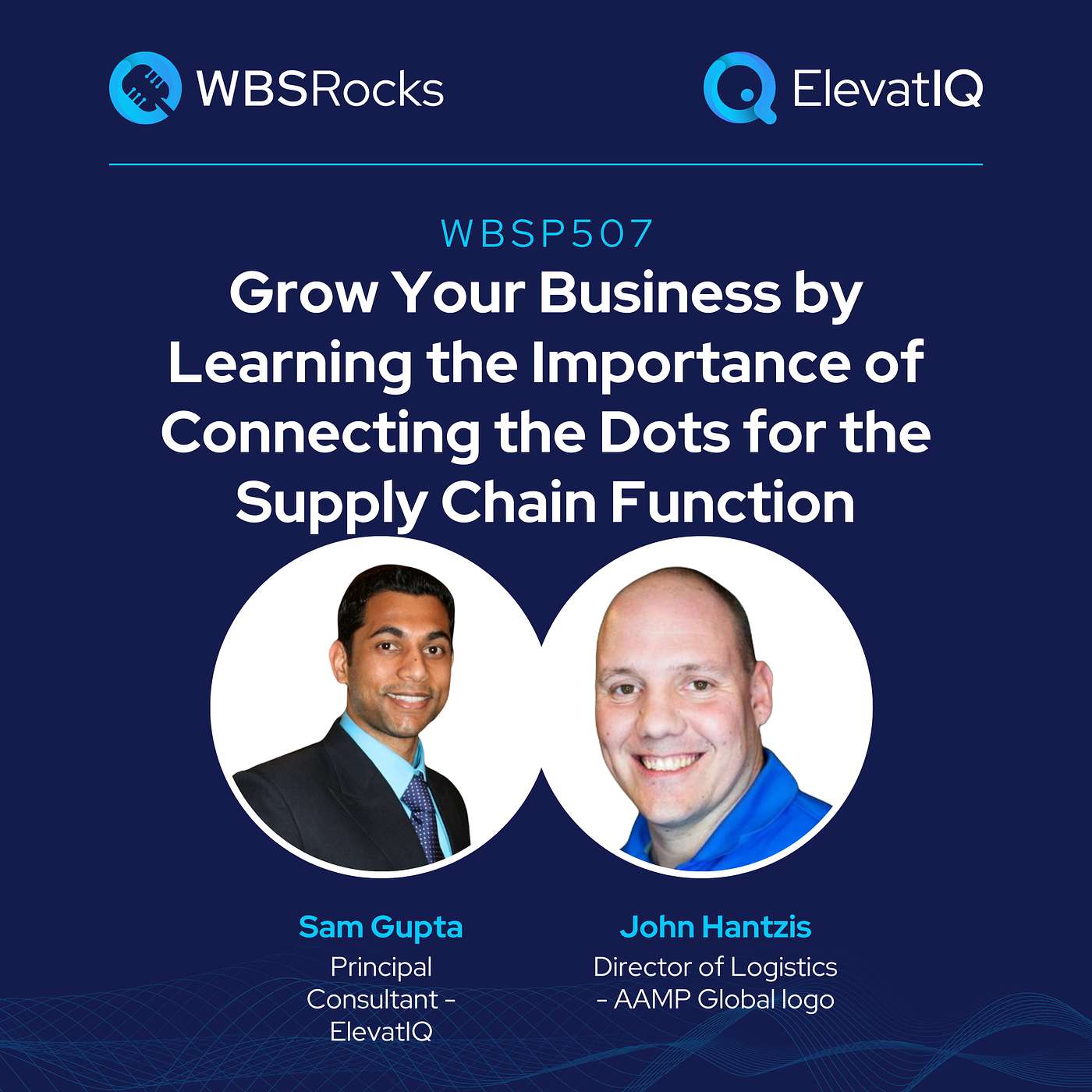 WBSP507: Grow Your Business by Learning the Importance of Connecting the Dots for the Supply Chain Function w/ John Hantzis