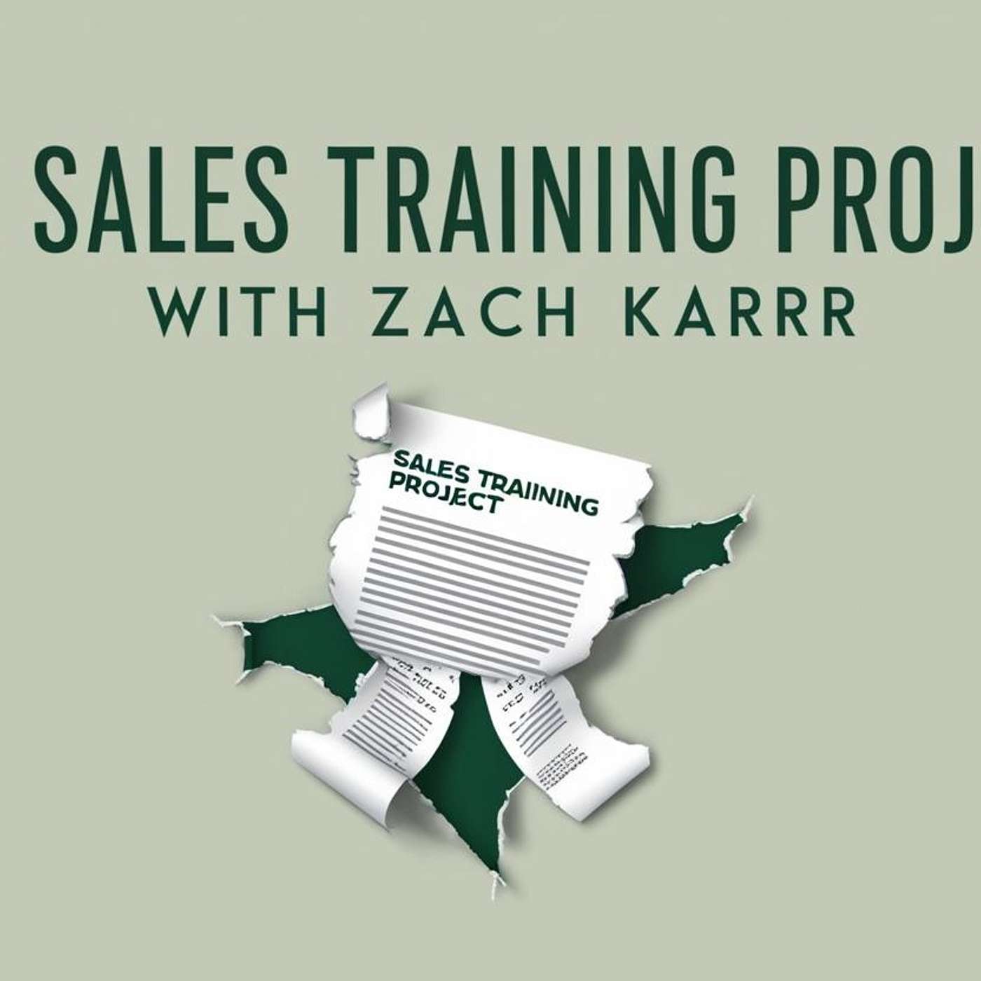 The Sales training project