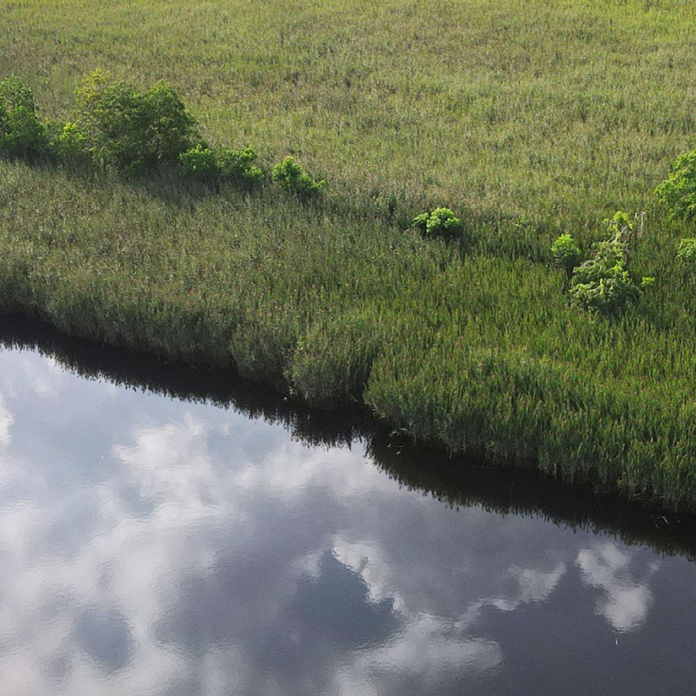 Eagle Island at the Edge: Rising Waters, Vanishing Forests, and the Vision for a Fragile Landmark