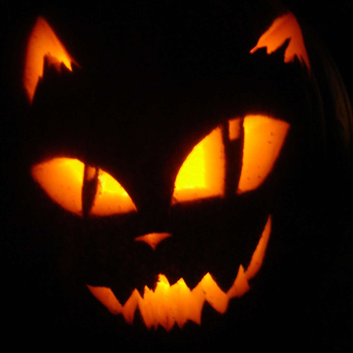 dotpaw podcast - Ghost Stories