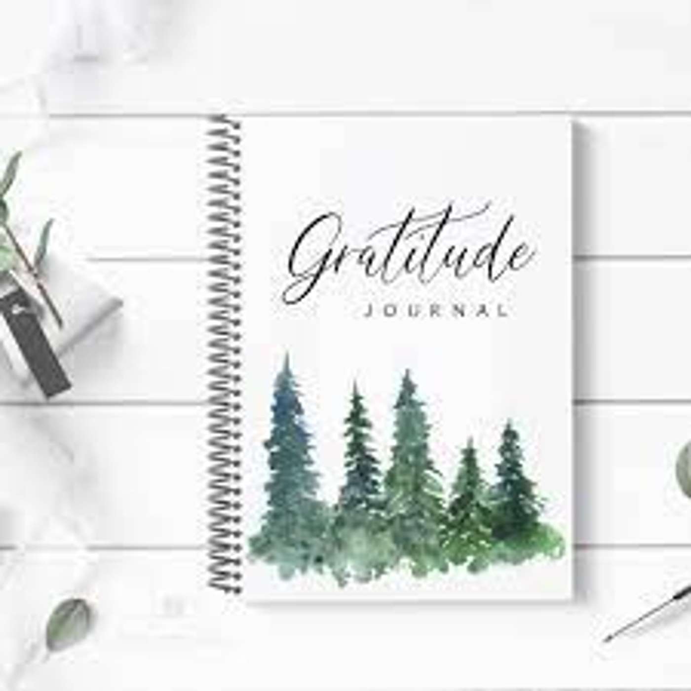 Episode 1137 - Great +  Attitude = Gratitude