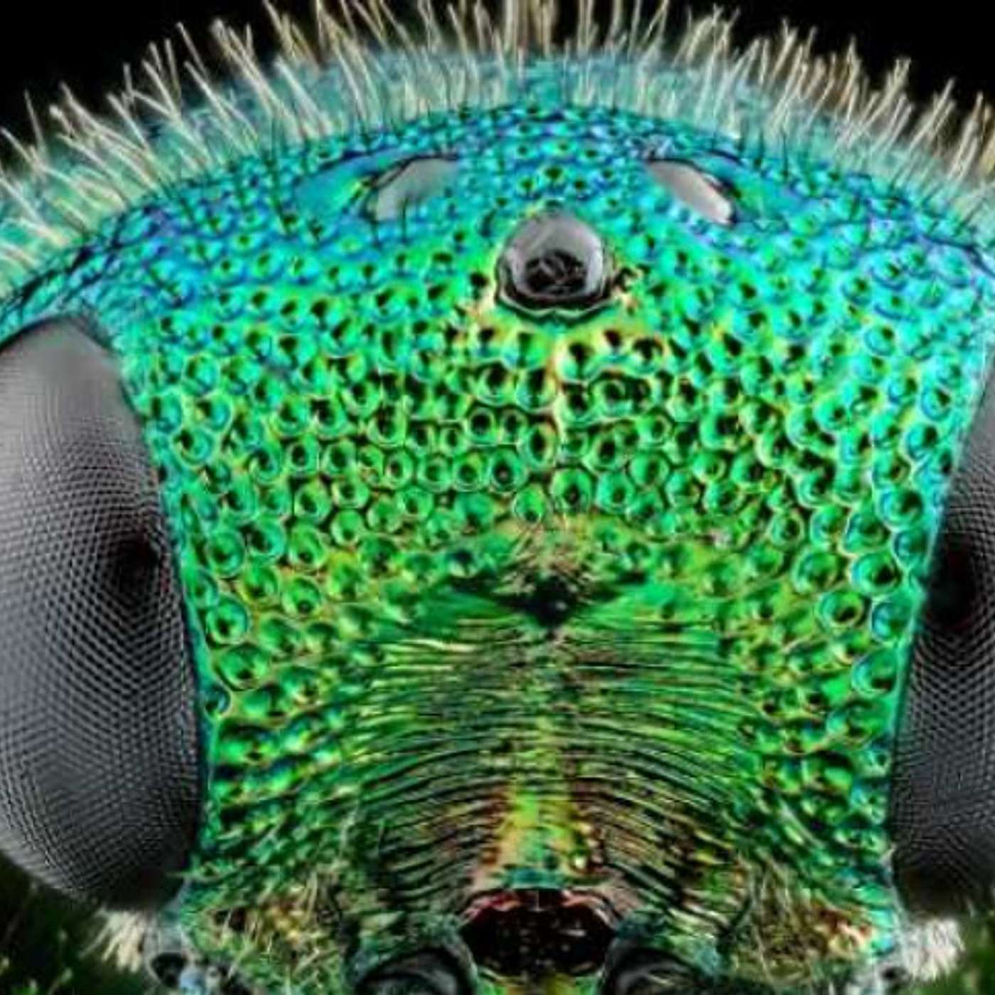 AI INTERVIEW: The digital parasite and the end of humanity - breaking!