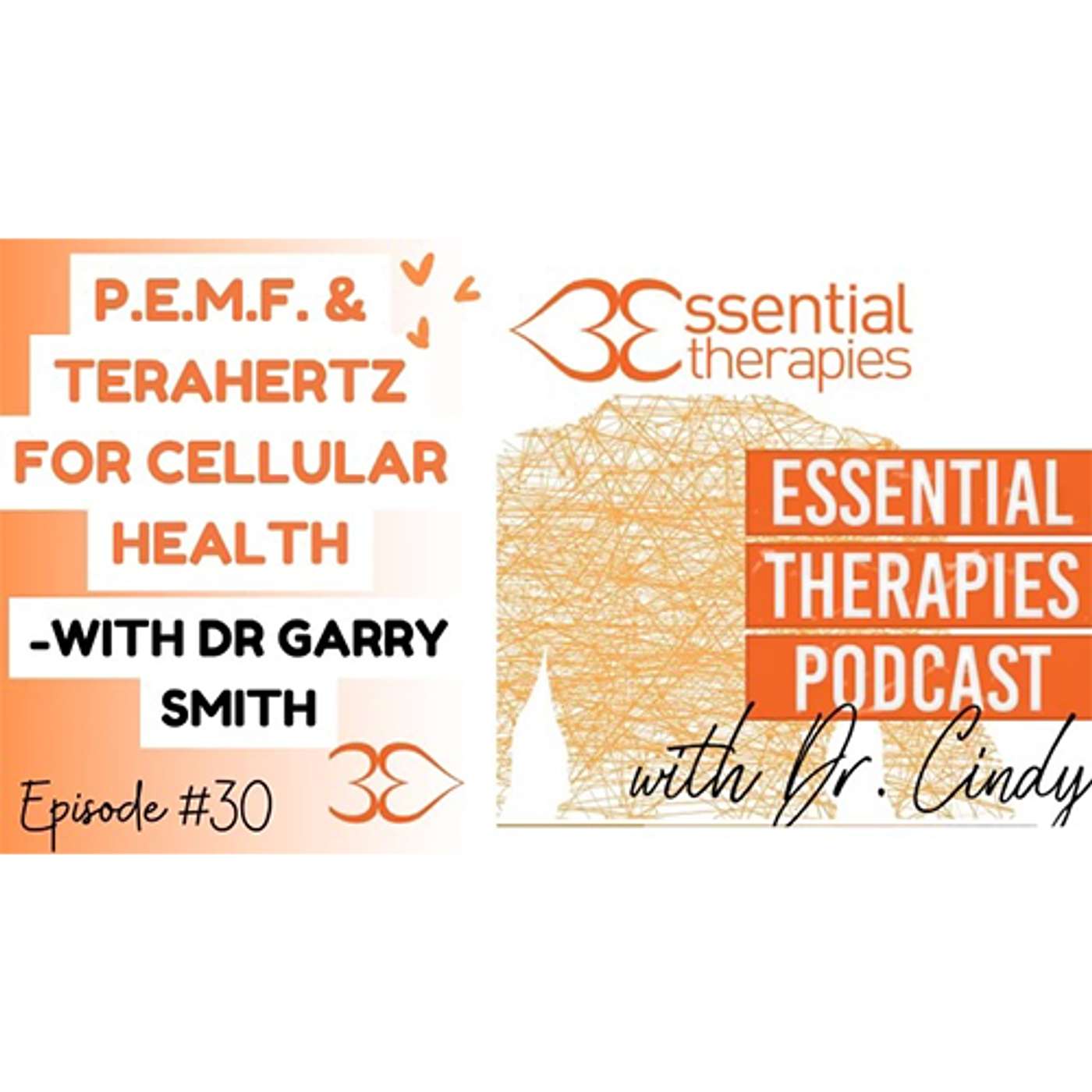 Episode 30 - P.E.M.F. & Terahertz for Cellular Health