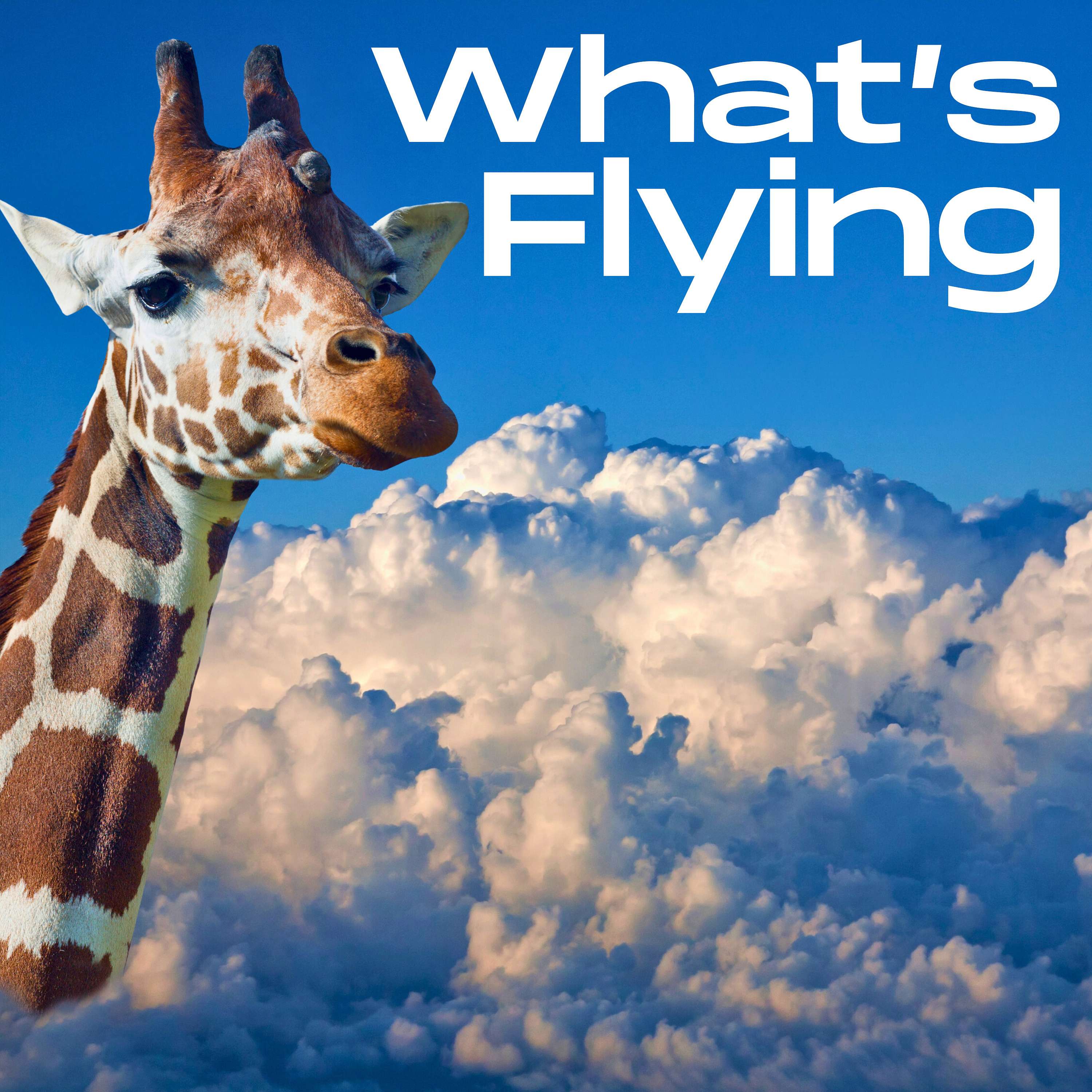 What's Flying podcast artwork